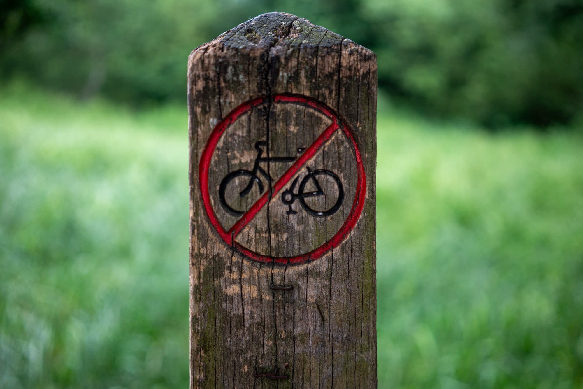 A sign for no biking.