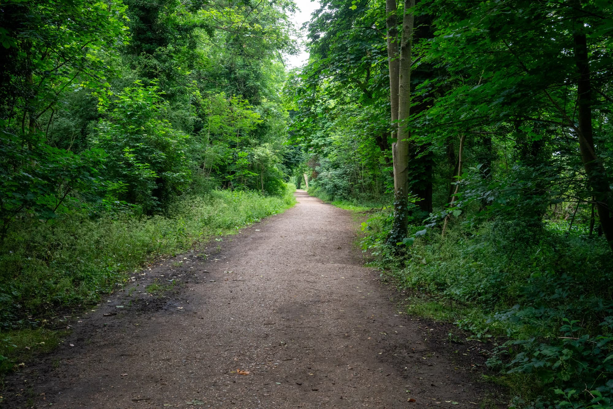 A track in North East London.