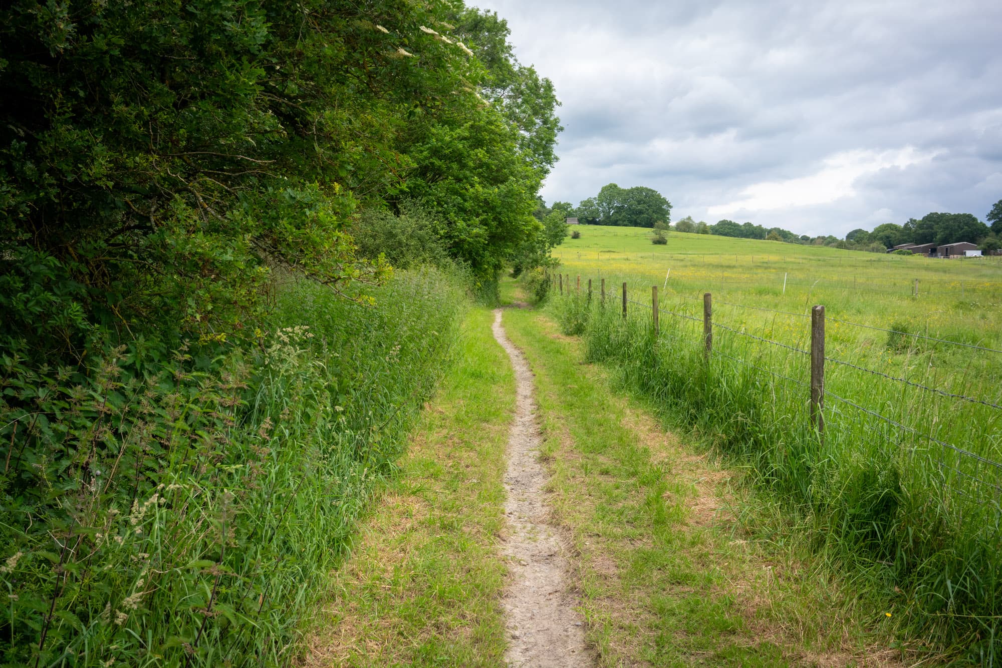 A singletrack along a farm field.