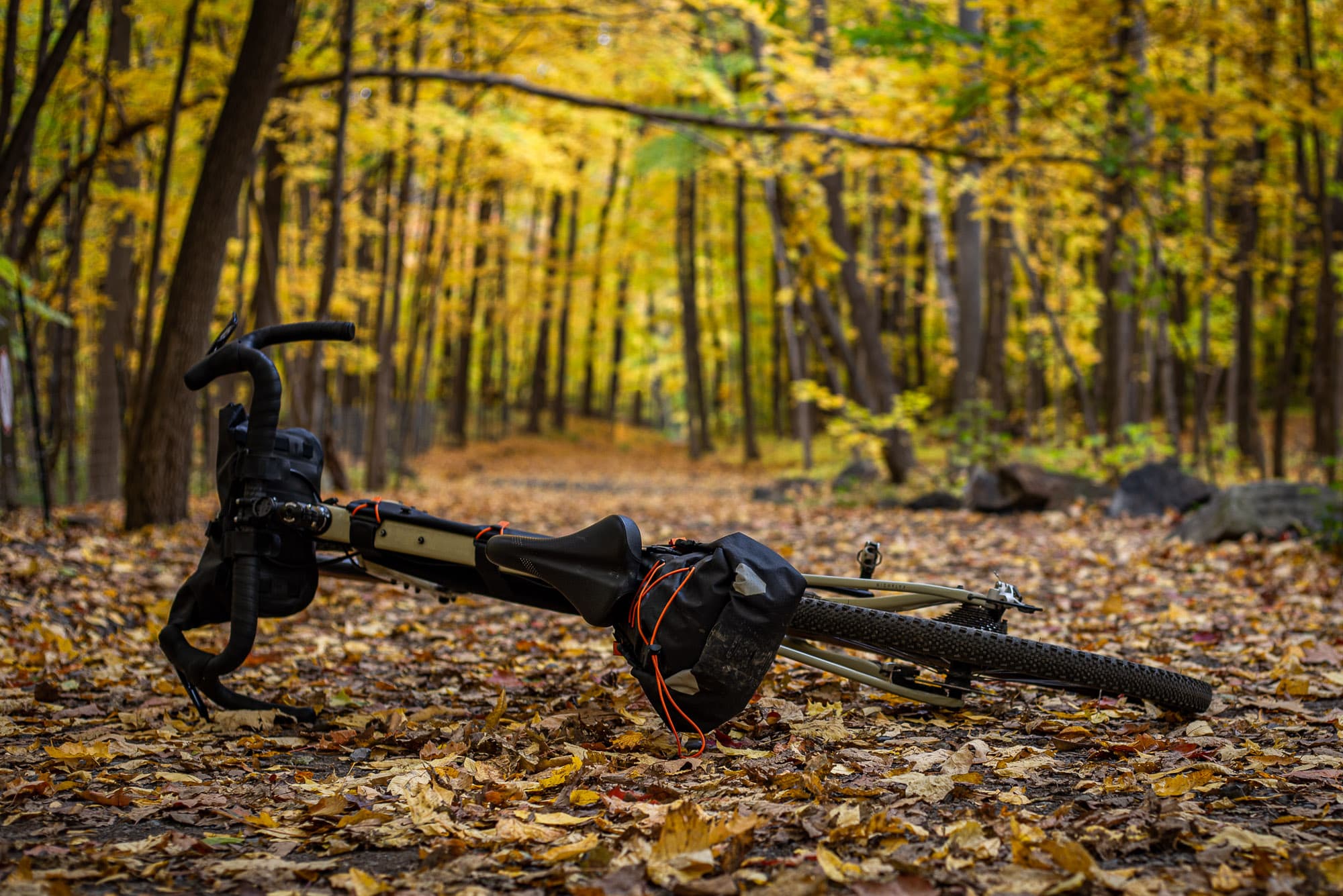 cycling in the fall