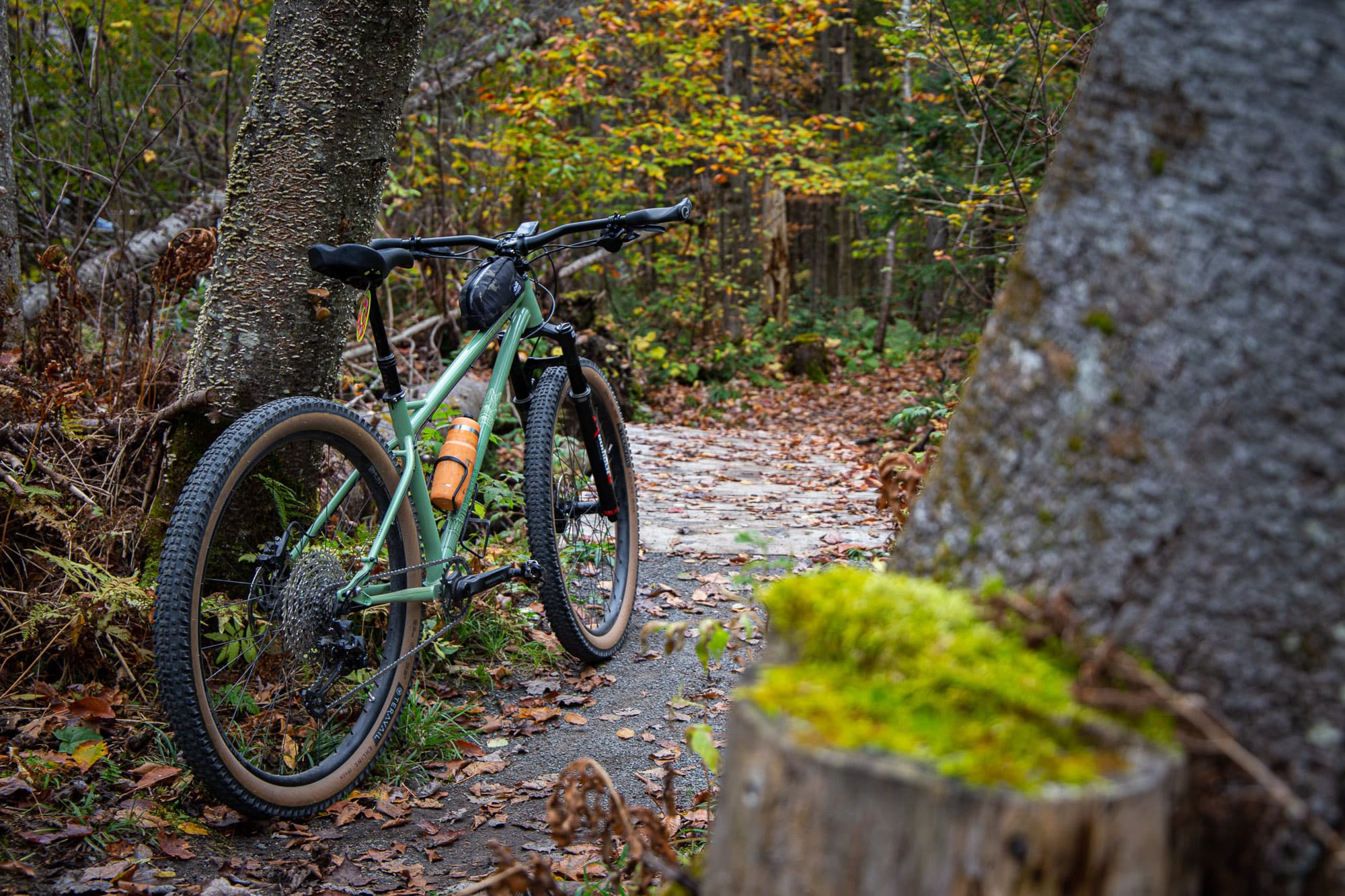 on the trail