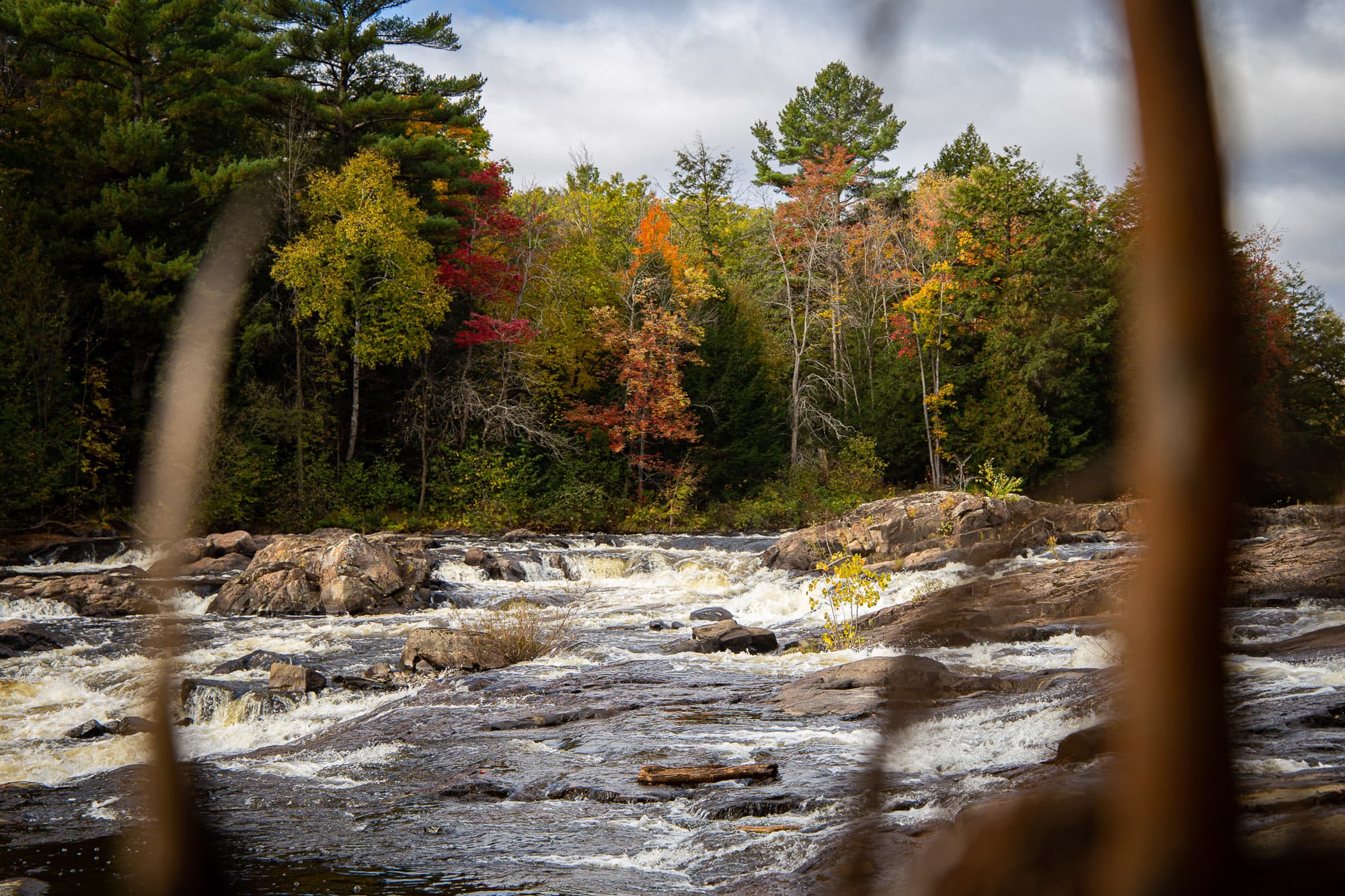 trail side stream