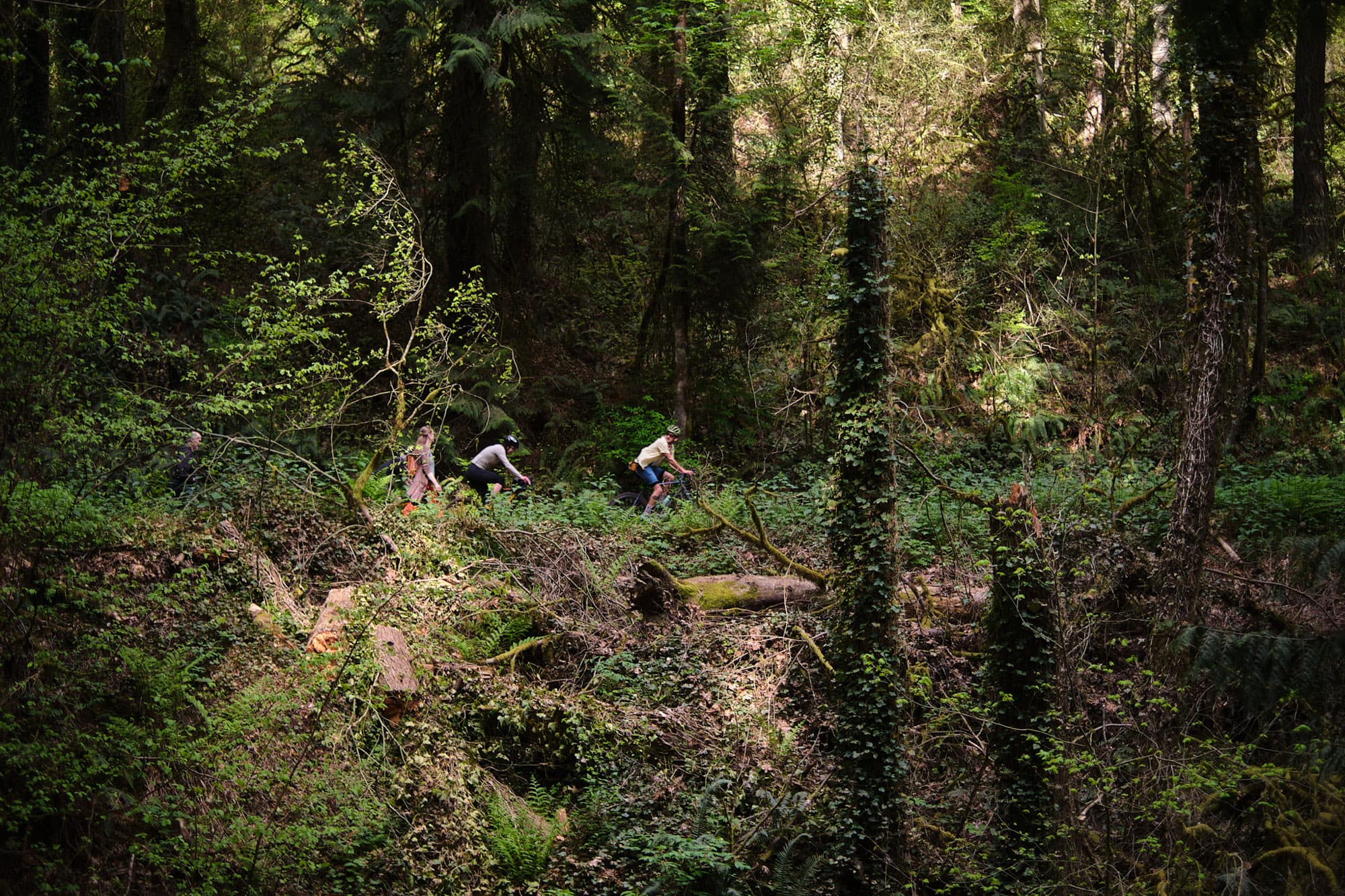 Gravel Guide Portland: Urban Dirt to Country Gravel