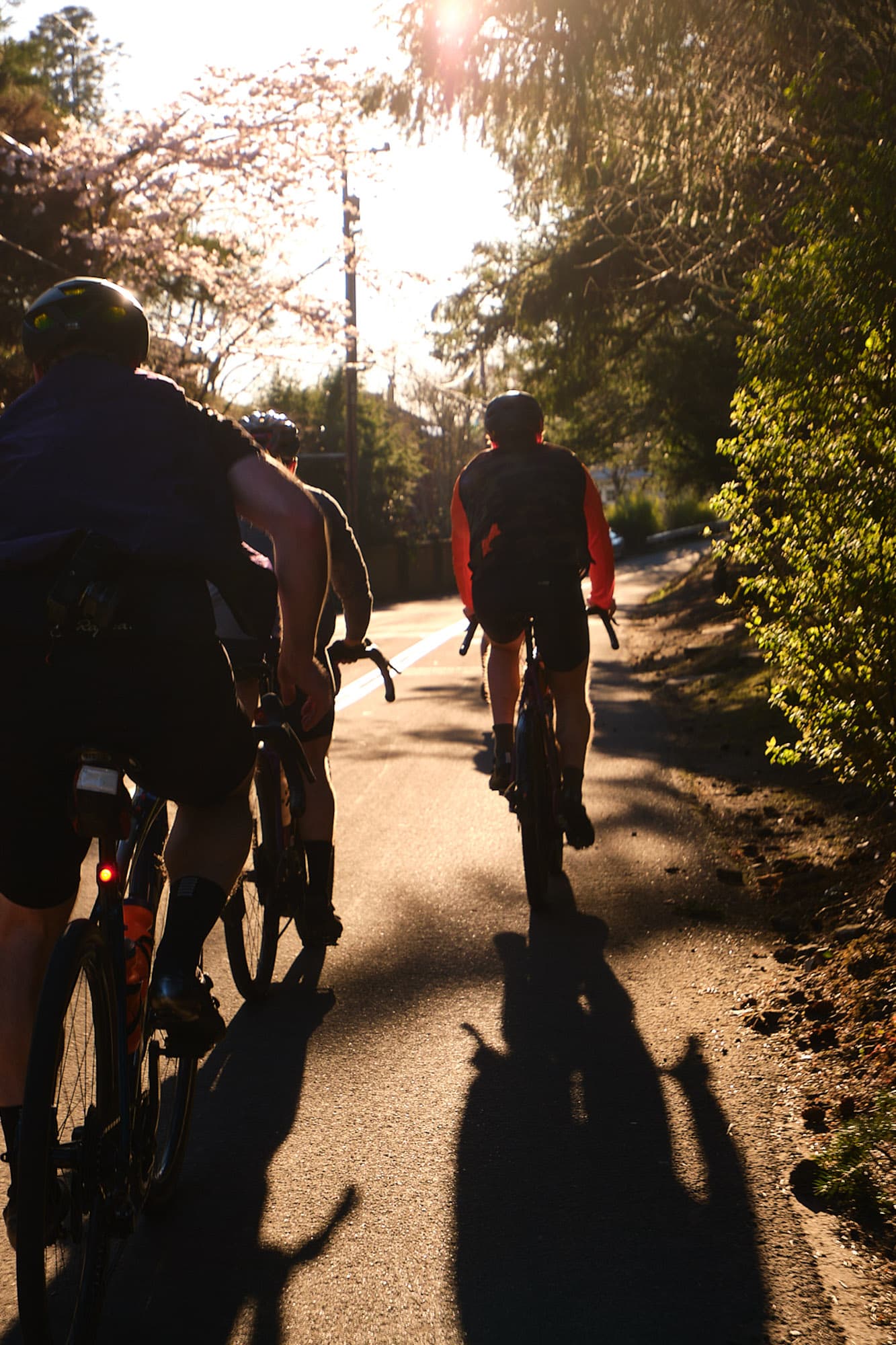 A group rides in the sun.