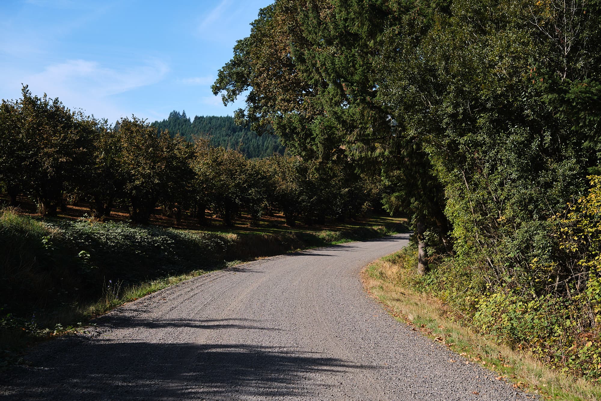 Sweet gravel road.