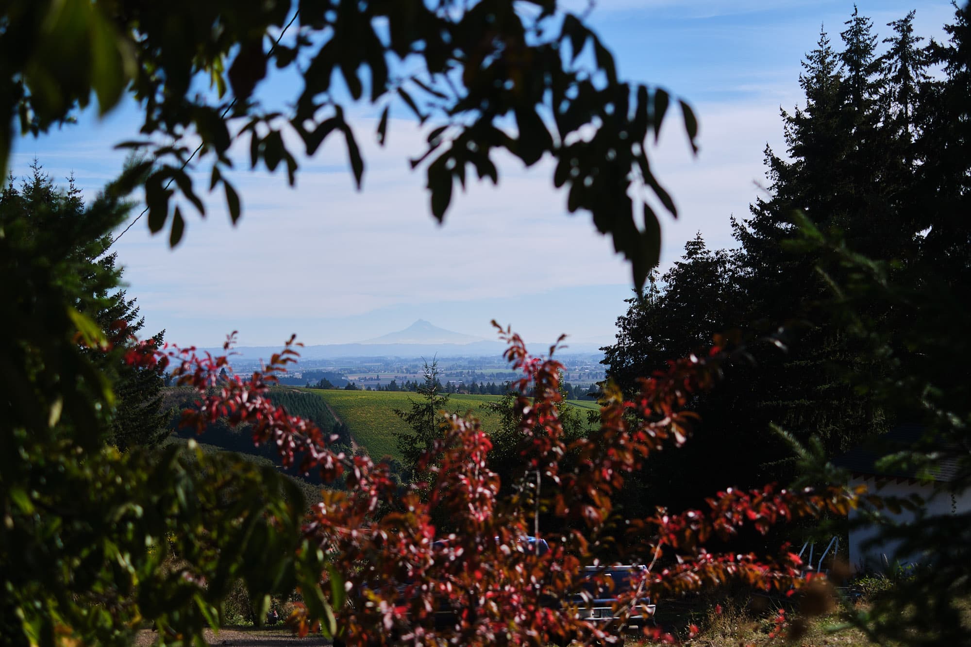 Baker in the distance.