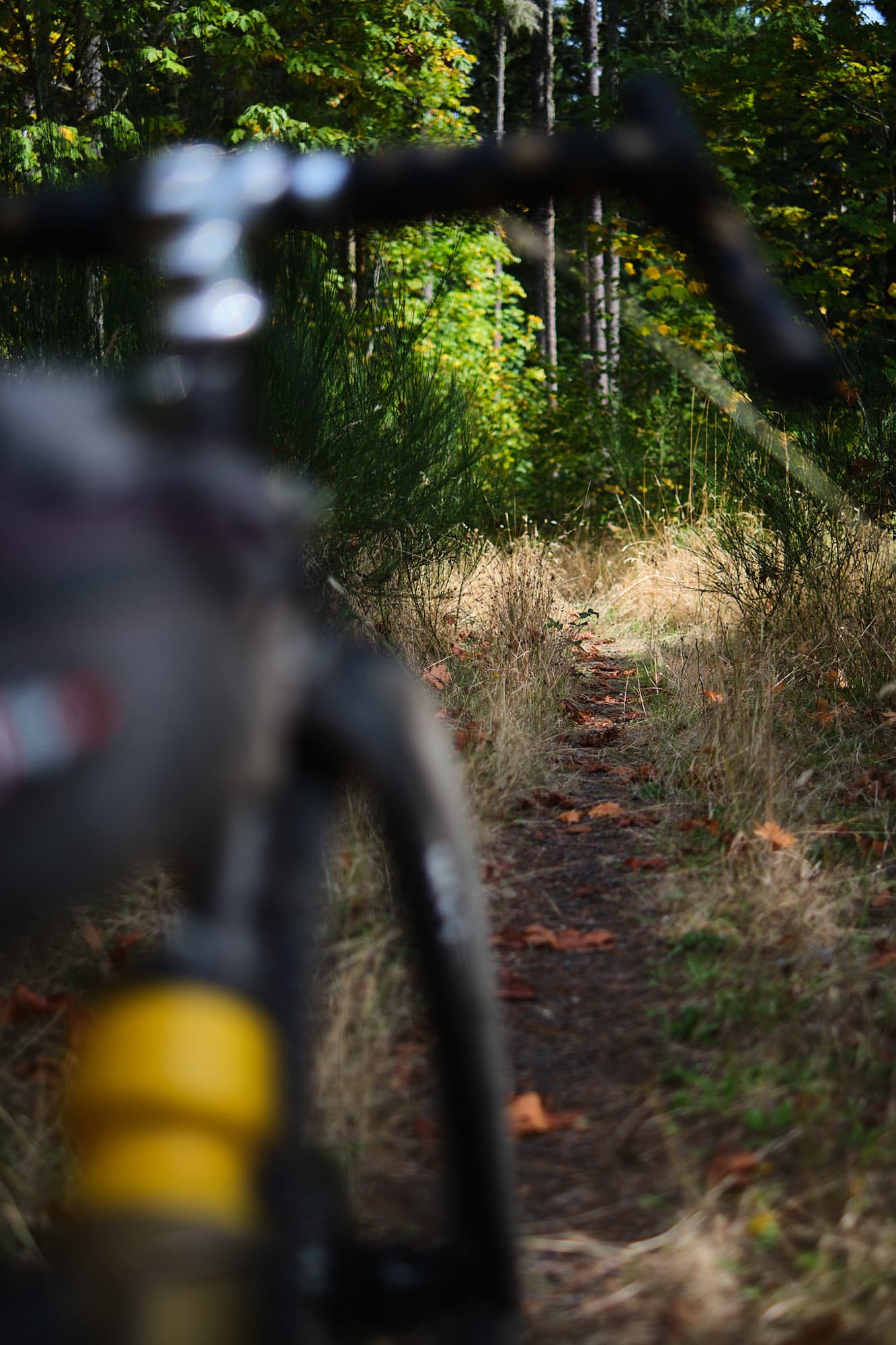Abe pounds somme single track.