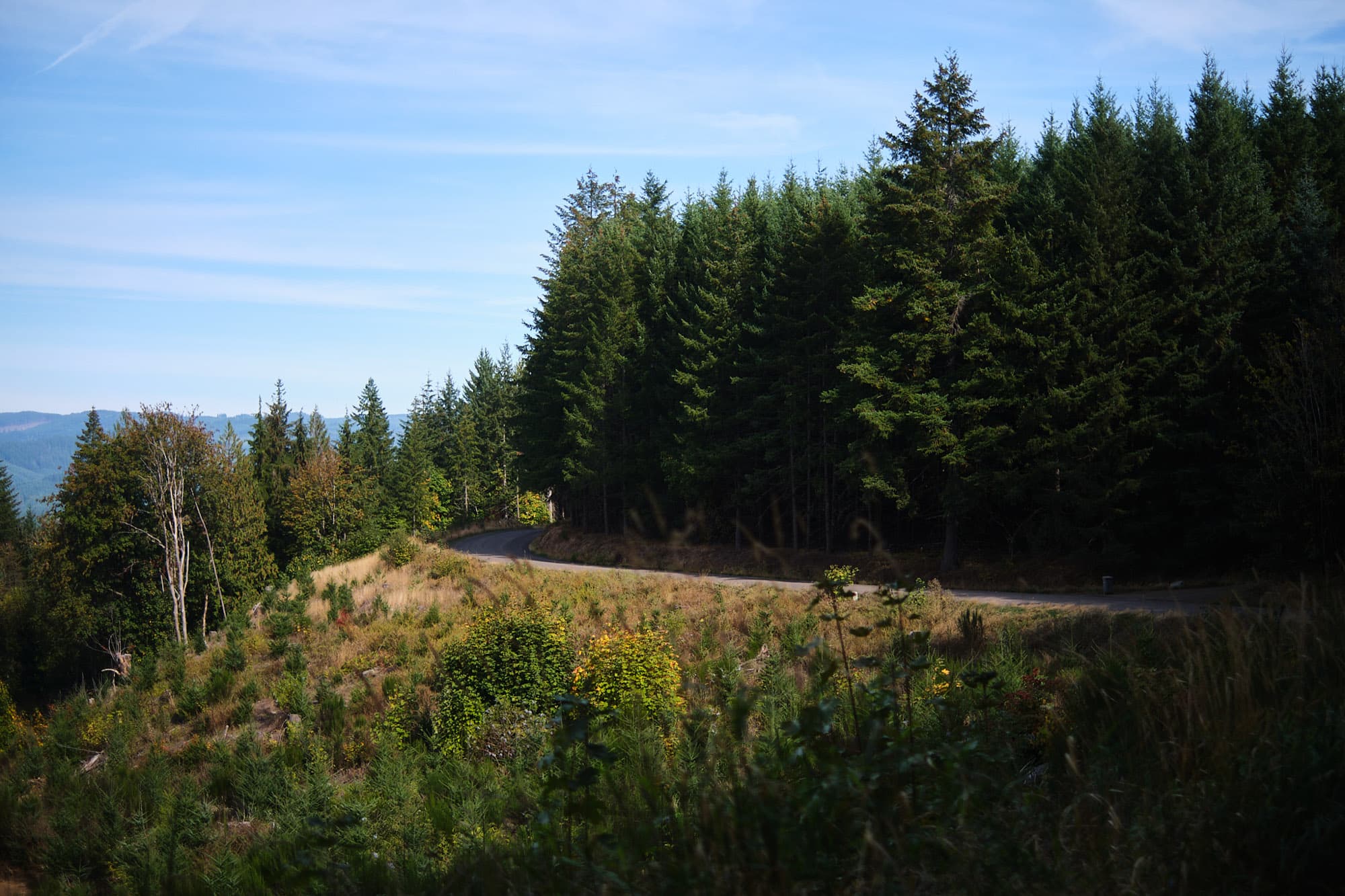 A dirt road near North Plains.