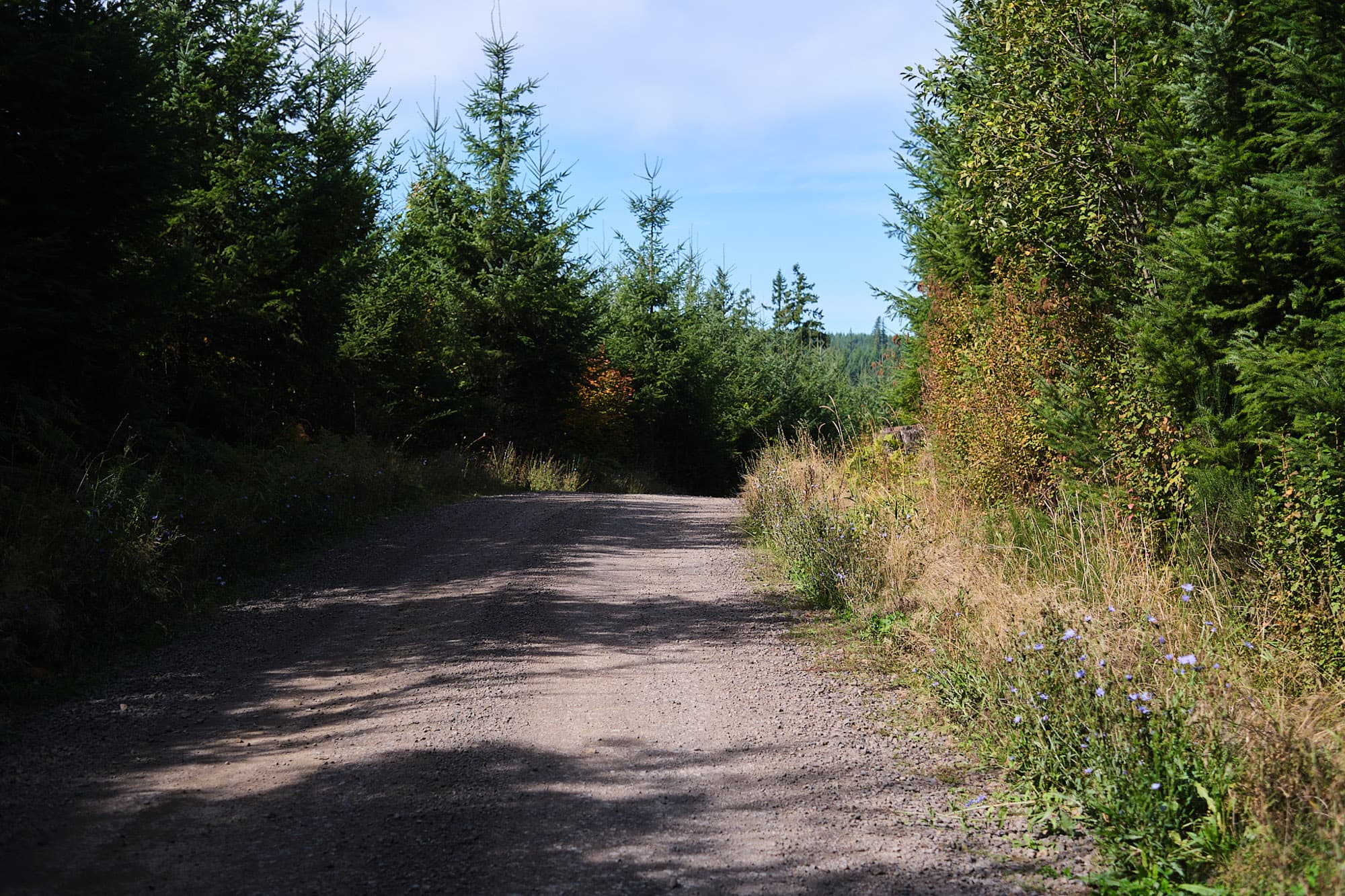 Gravel for miles and miles.