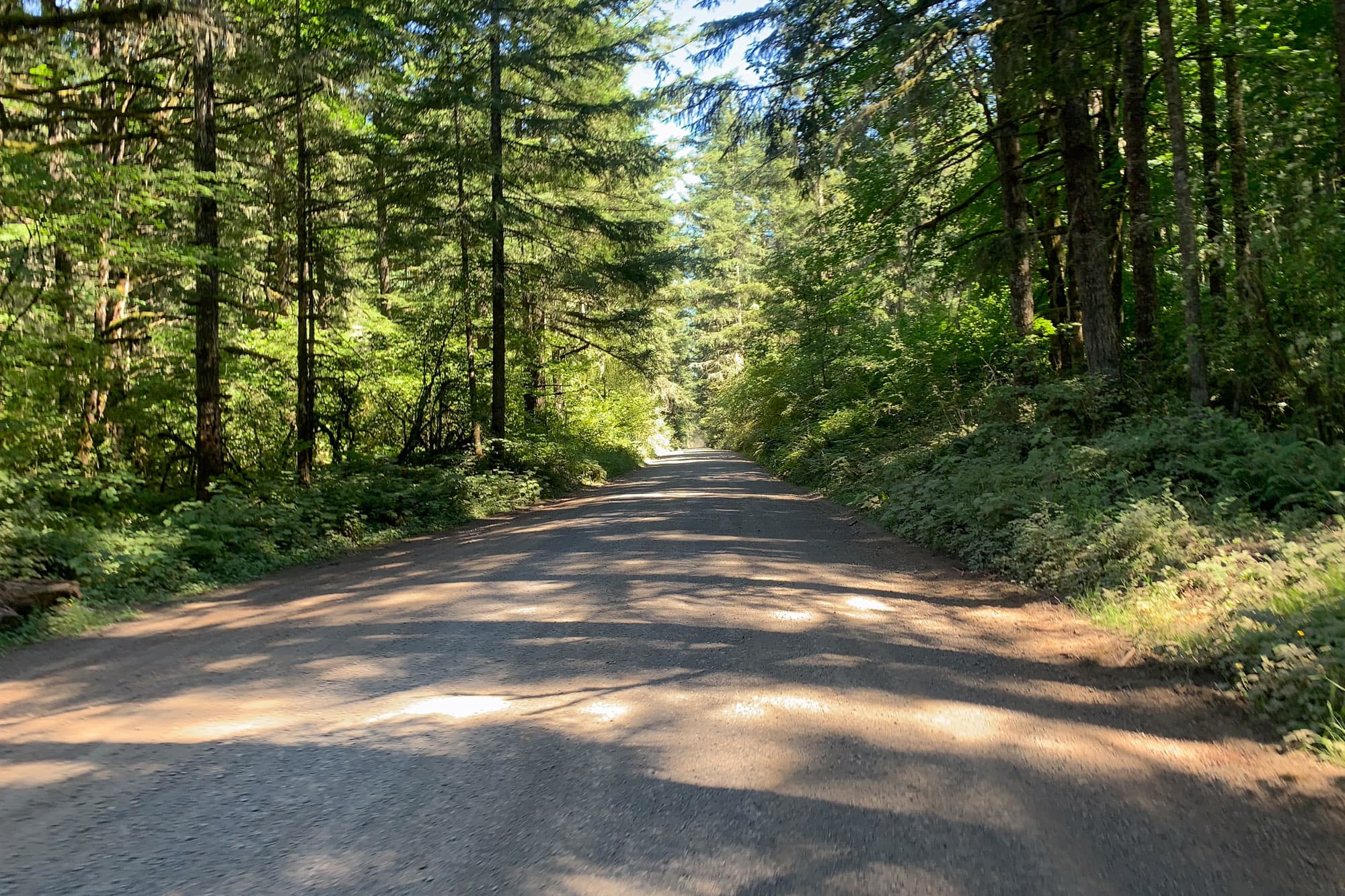 The Memaloose loop road.