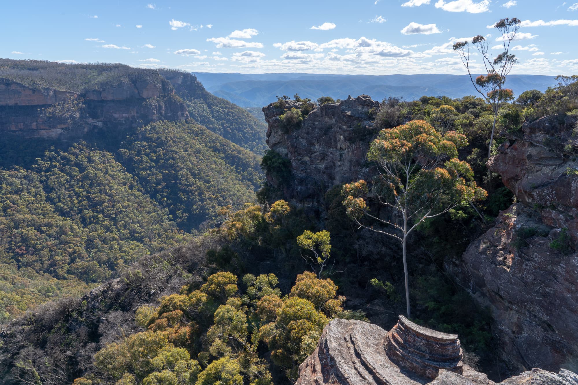 A view from the Narrow Neck.