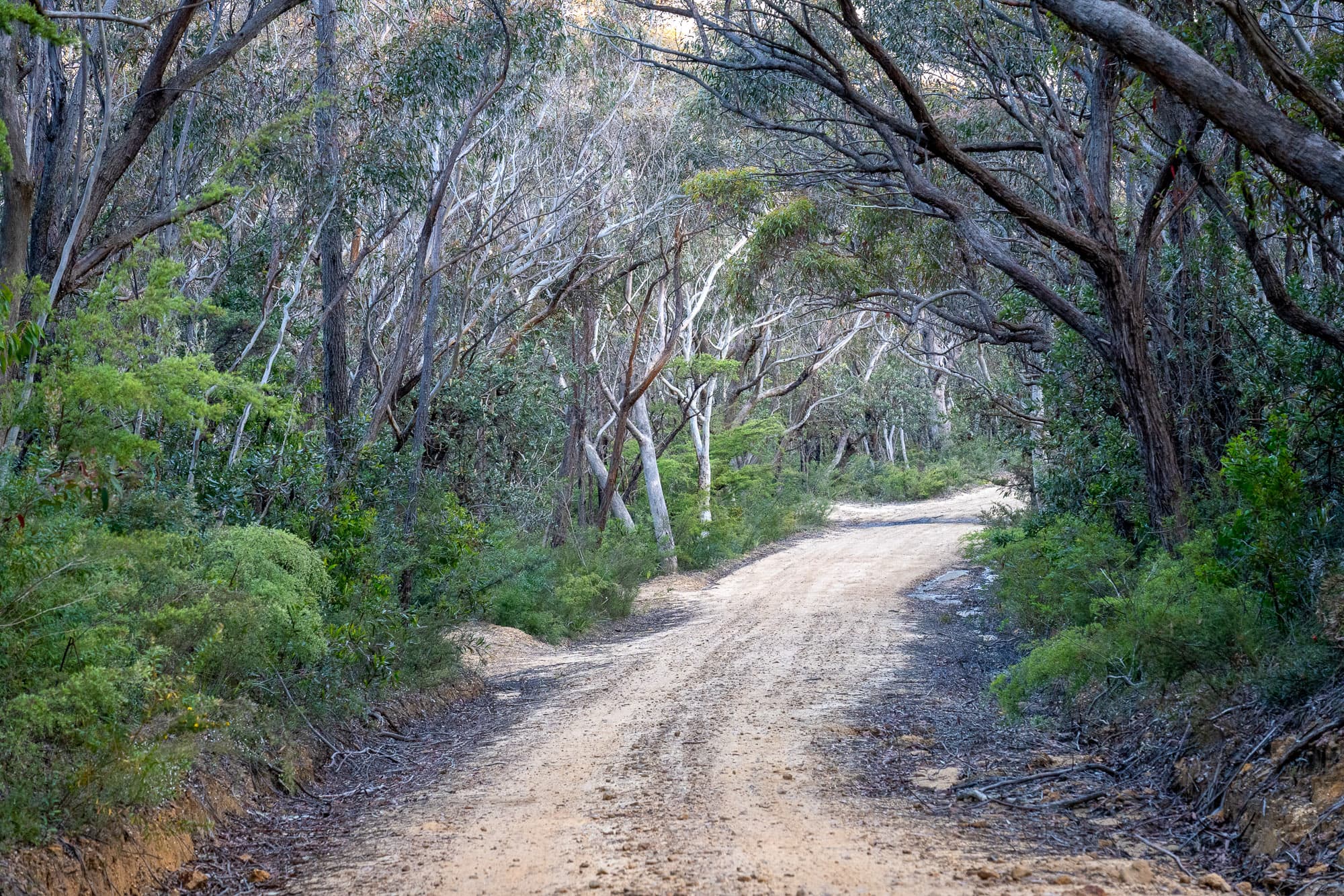 The Anderson Trail.