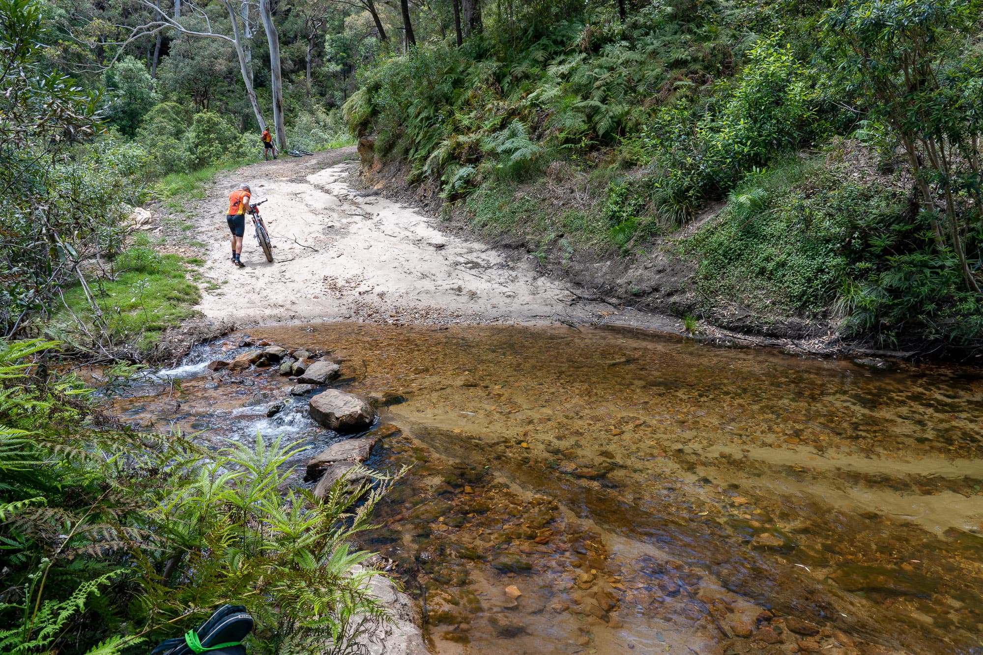 A bit of water on the Anderson Trail.
