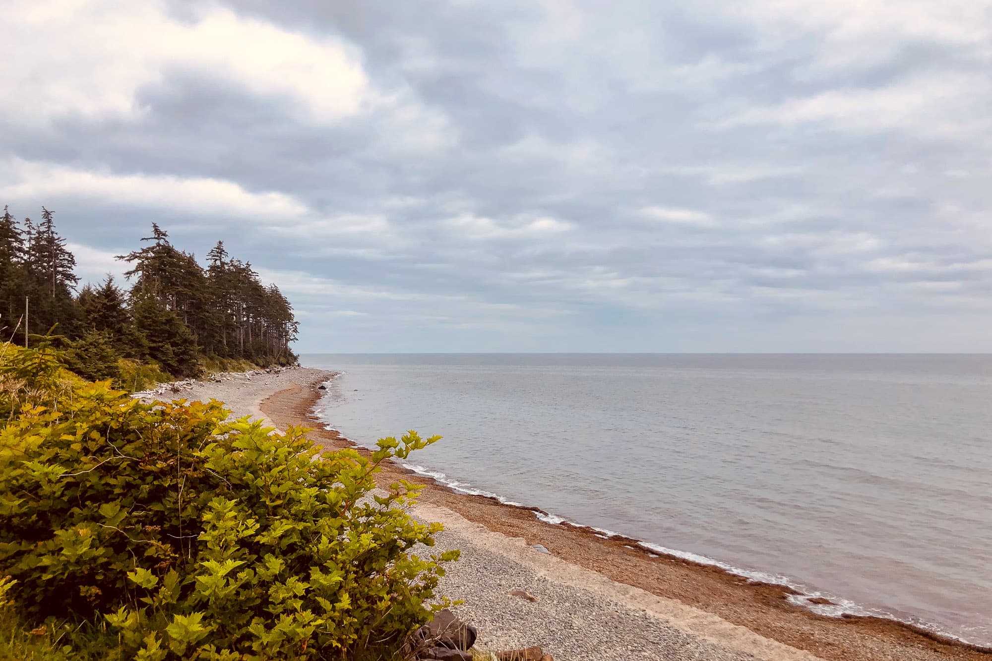 A stone beach on Haida Gwaii.