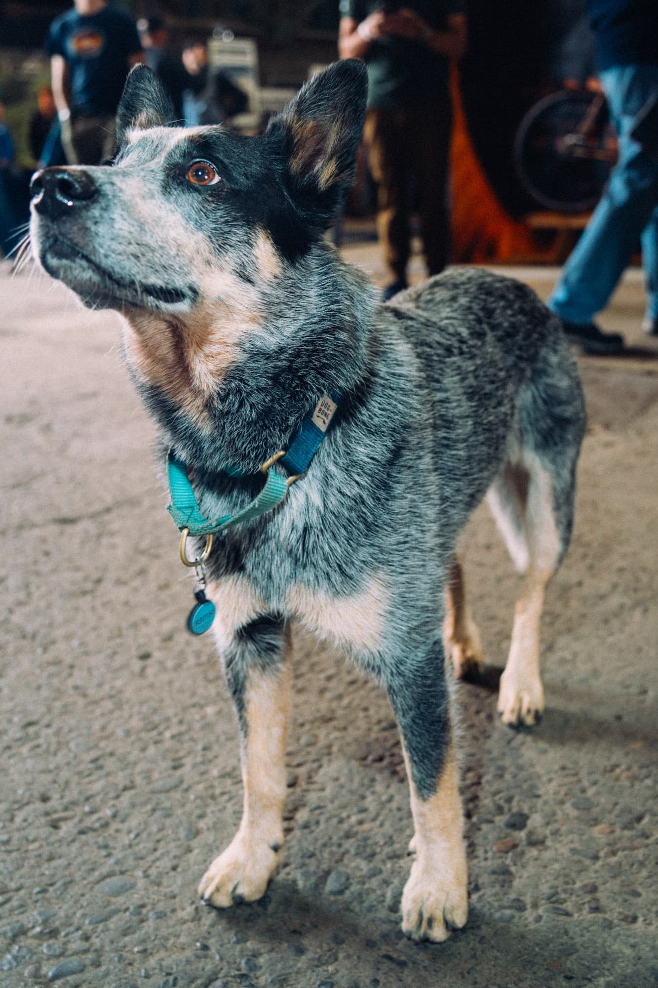 What a good boy.