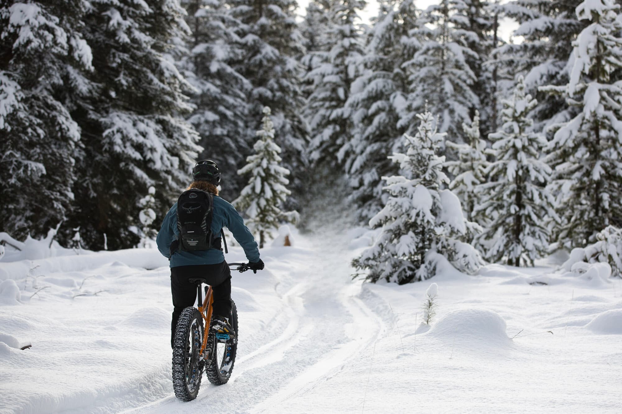 Steve hits the snow track.
