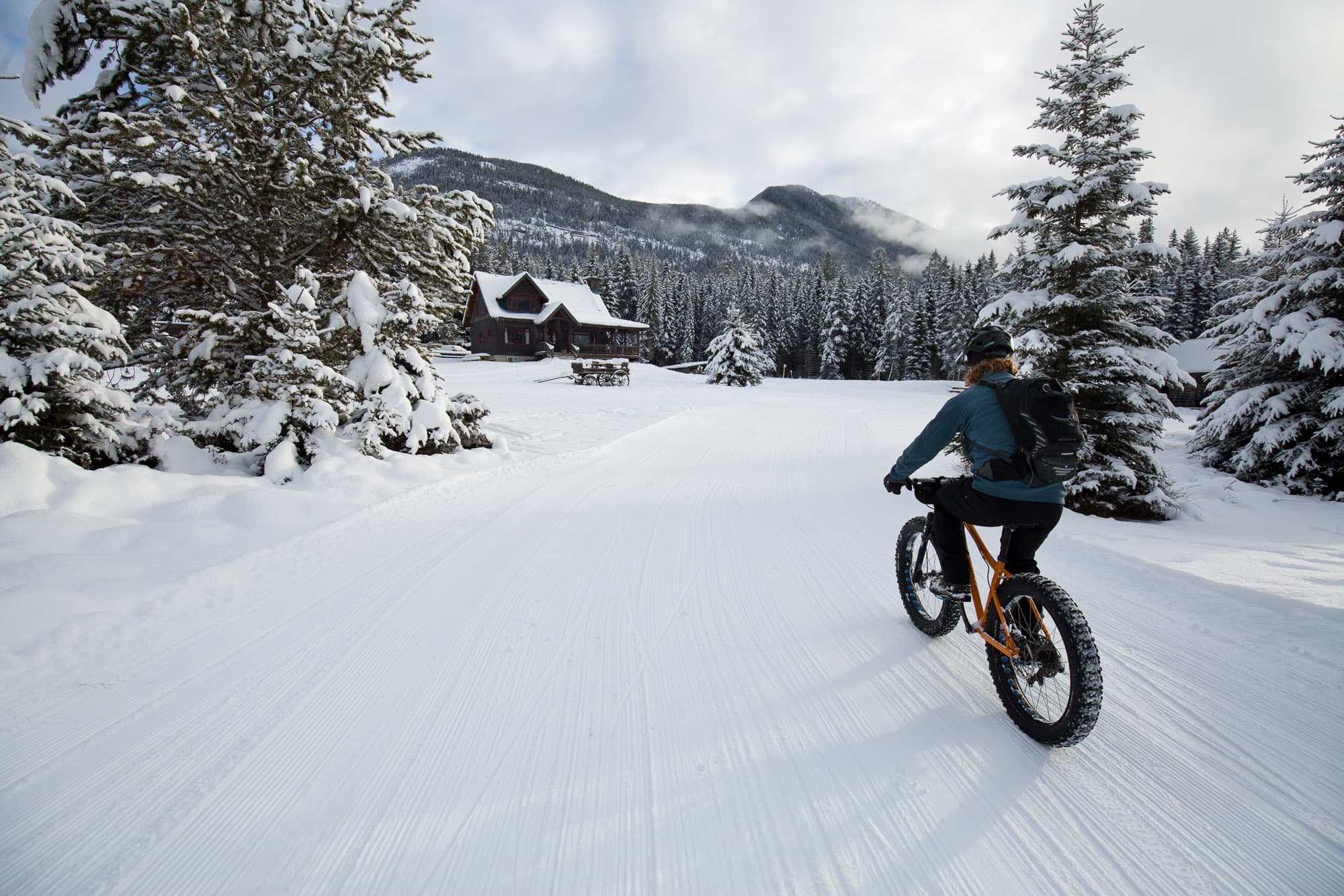 Steve O’Shaughnessy 3