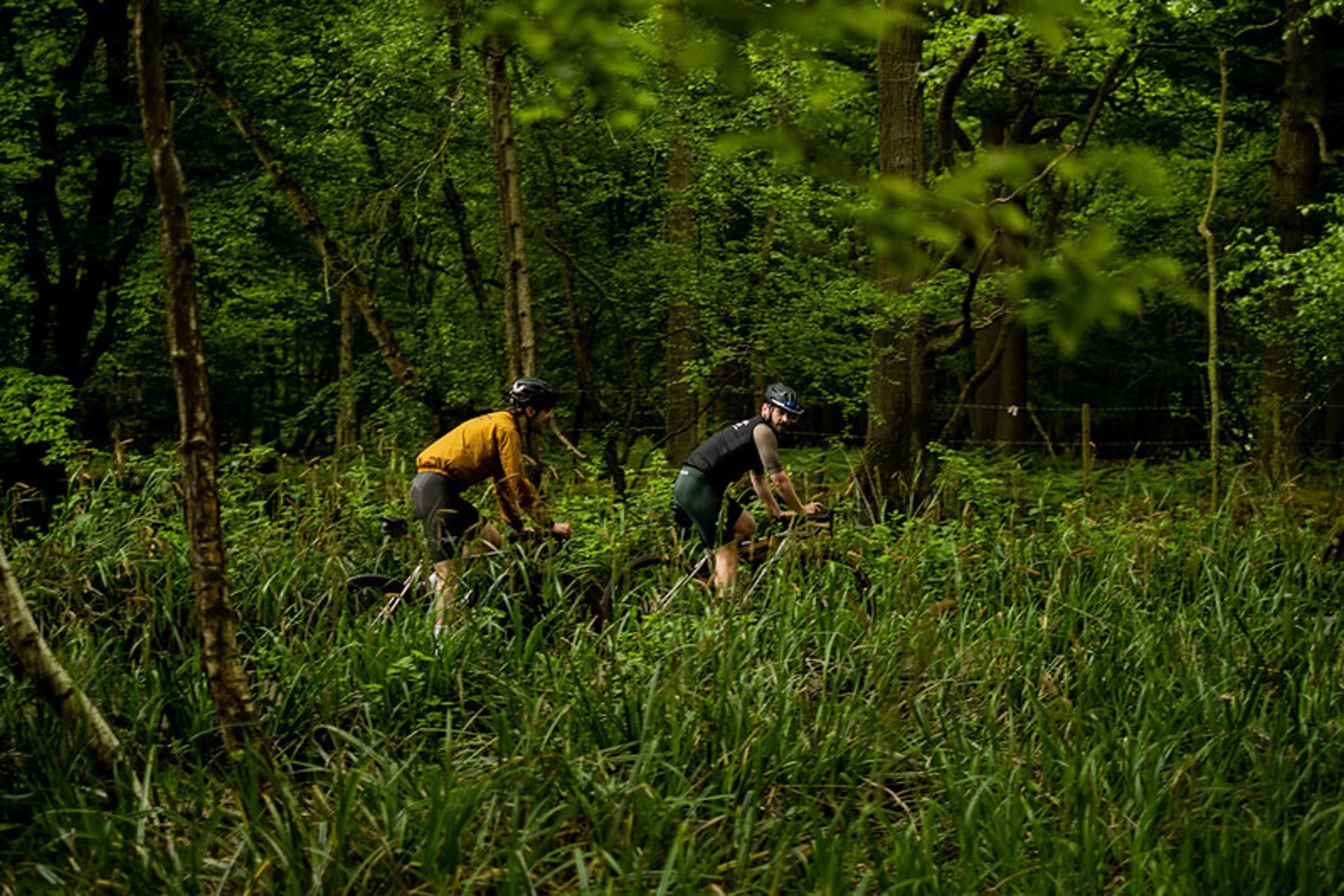Riding gravel through tall grass.