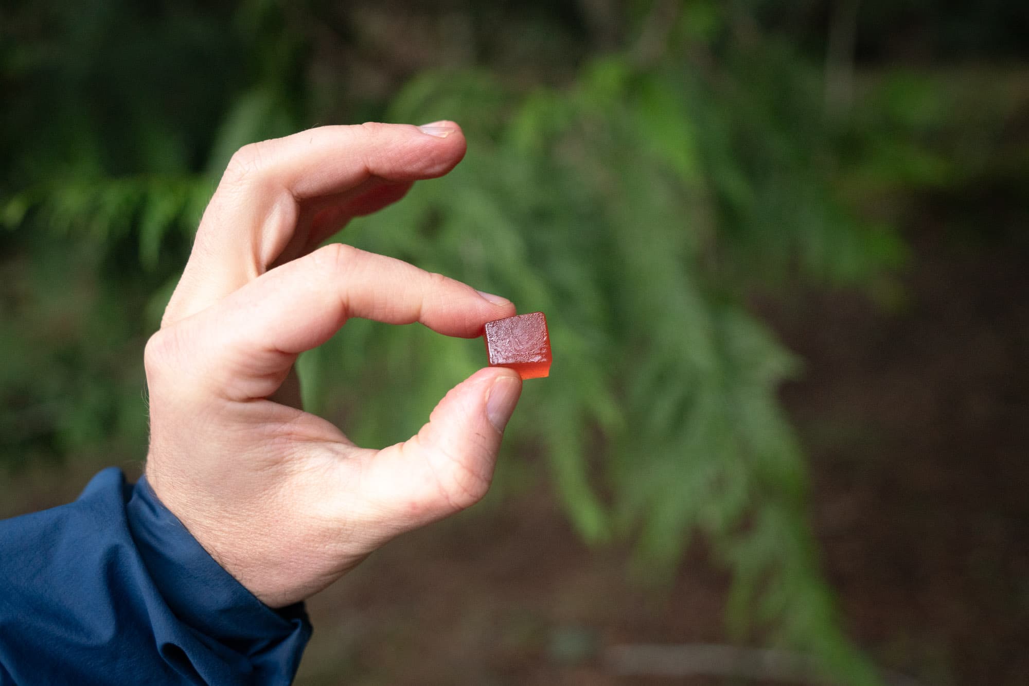 A gummie close up.
