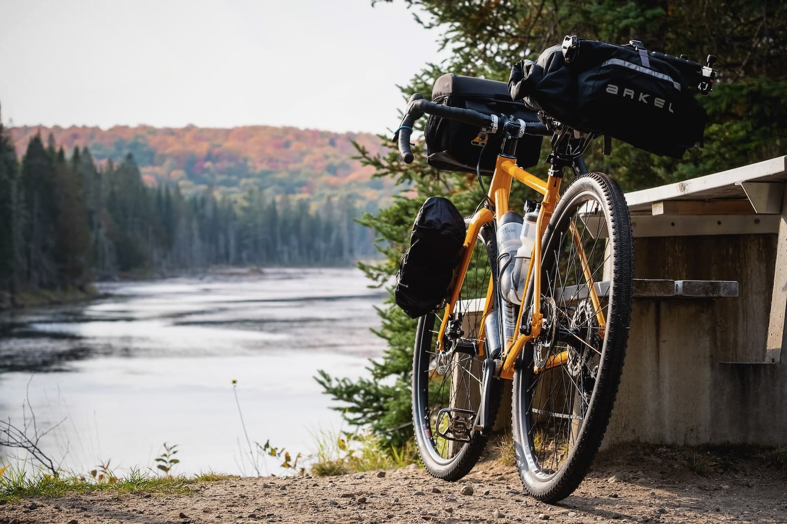 Bike On Log