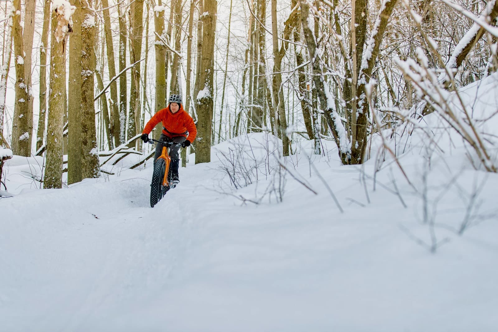 Panorama Cycles Interview: Climate Neutral Bikes From Quebec