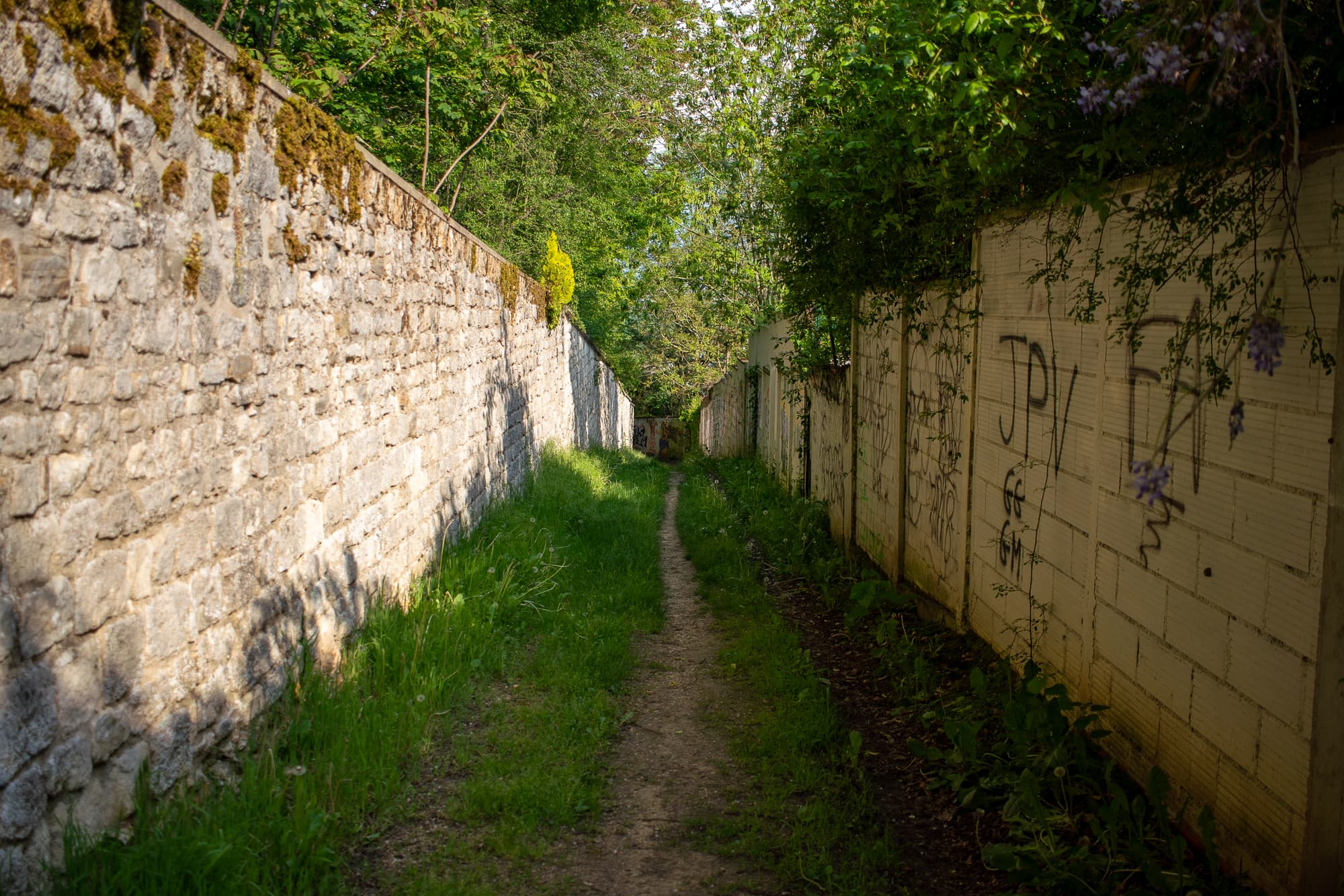 alley singletrack
