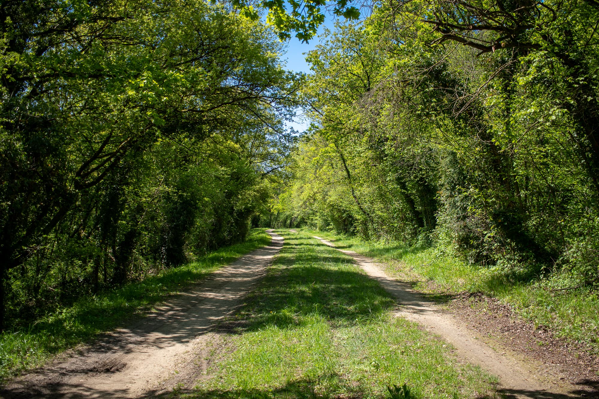 dhuis tracks
