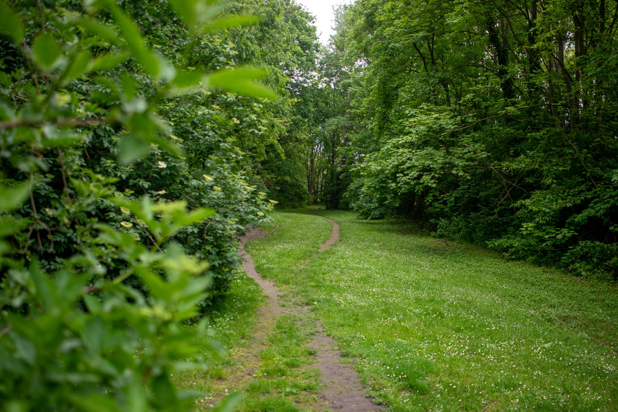 park track