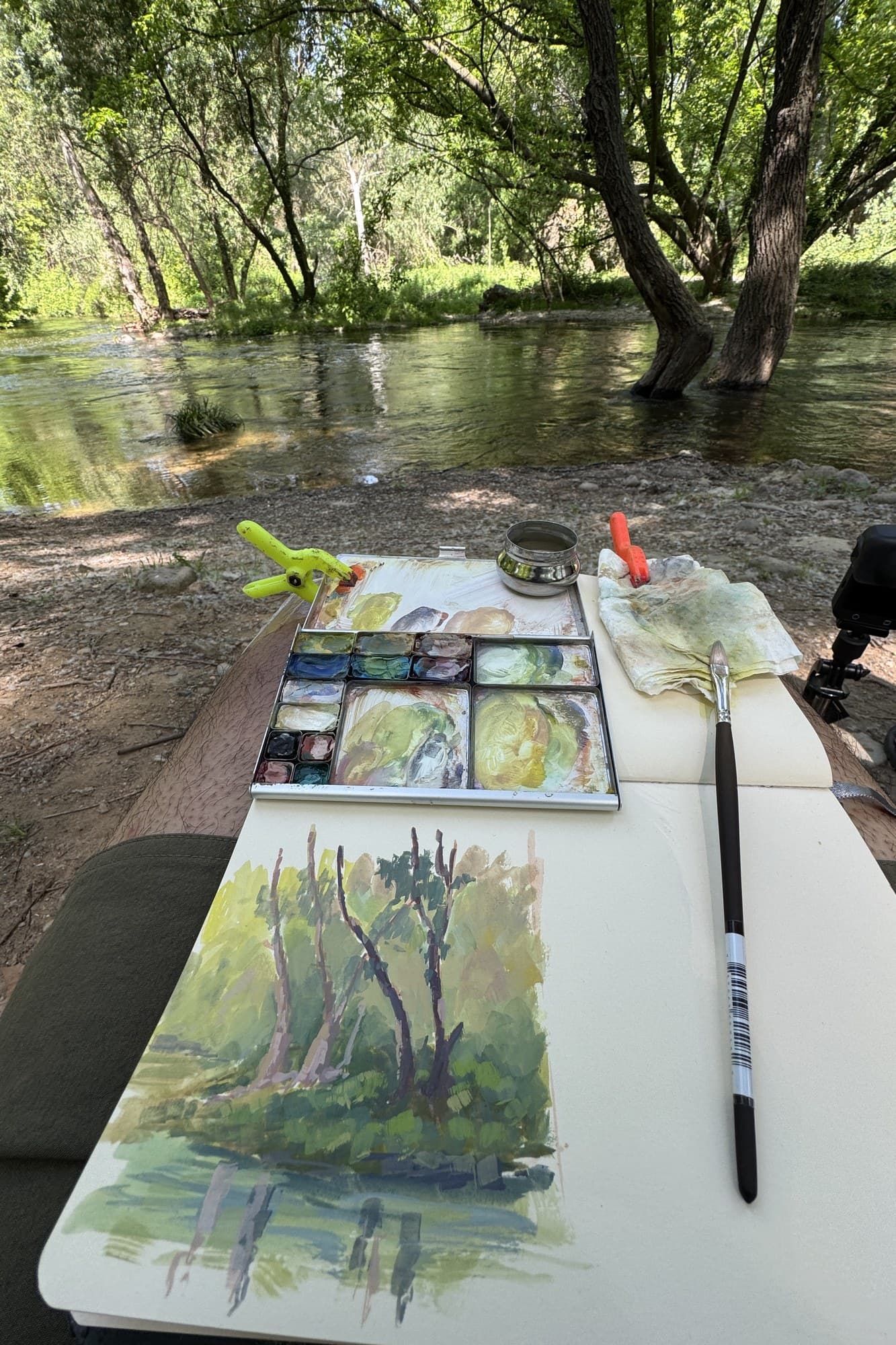 Watercolor of trees on a table beside a river