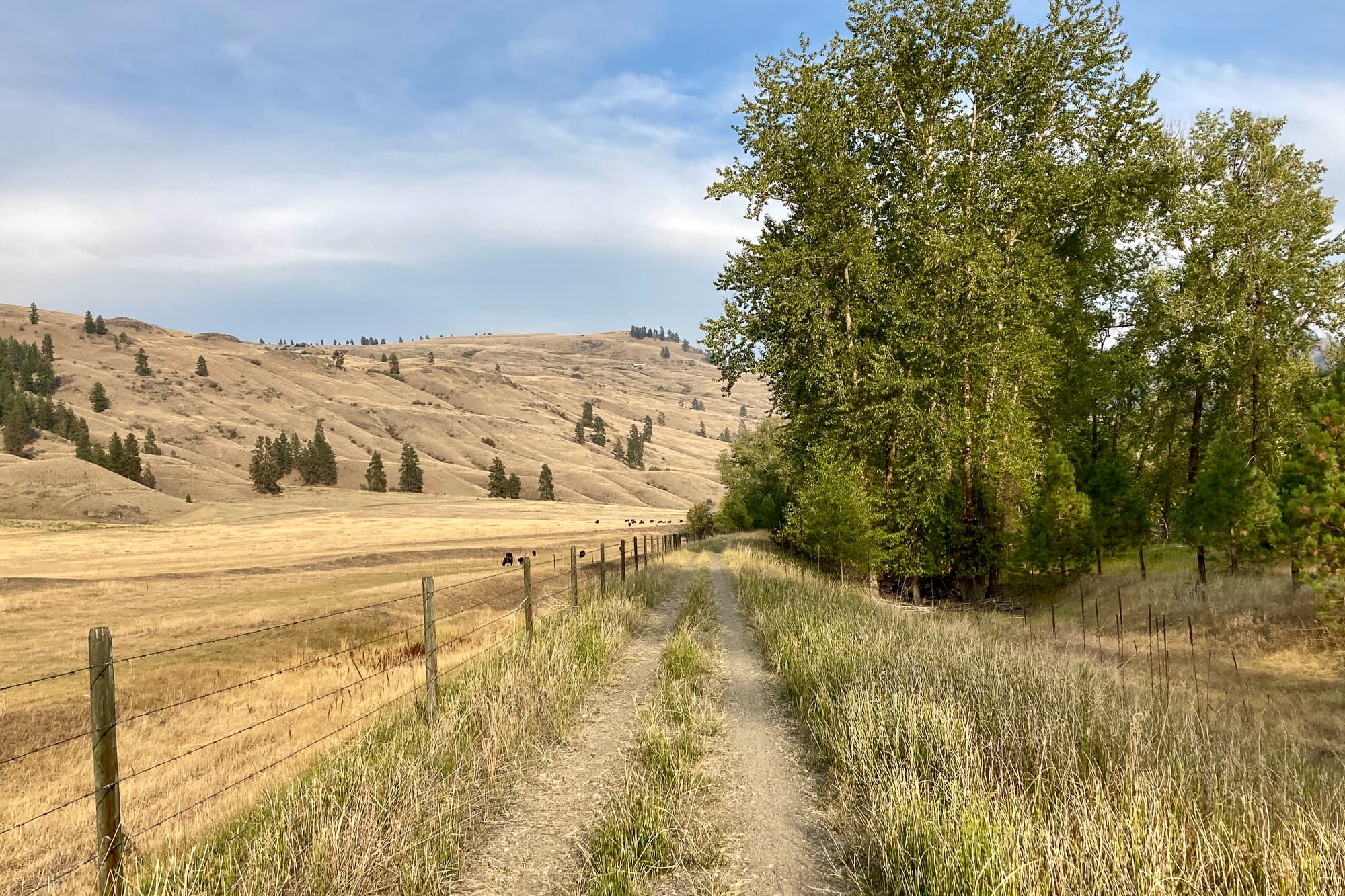 a dream trail