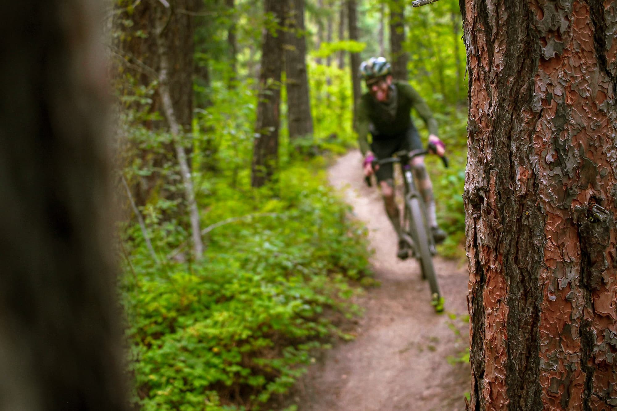 Ron Lewis of Our Mother The Mountain.