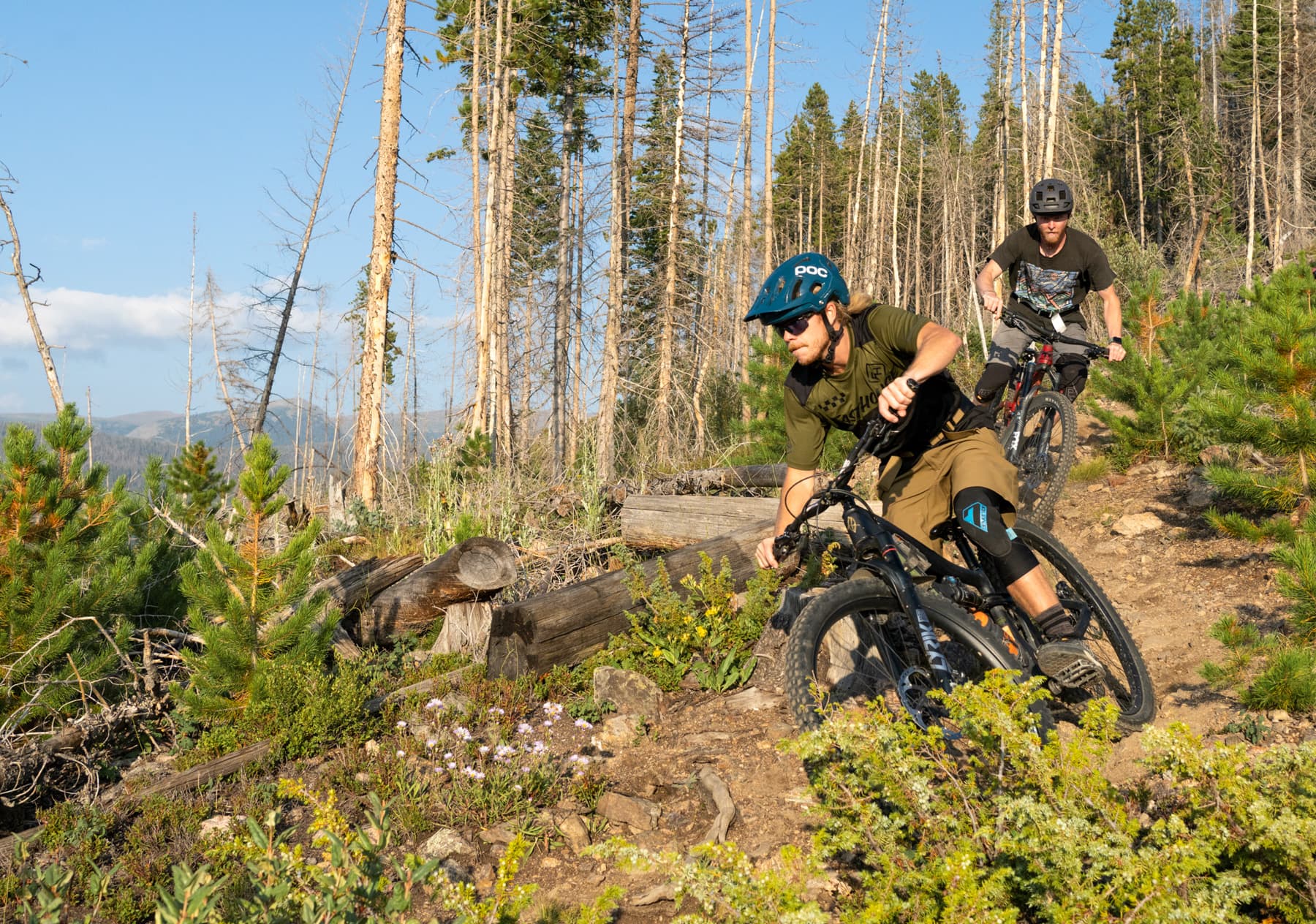 shredders shredding