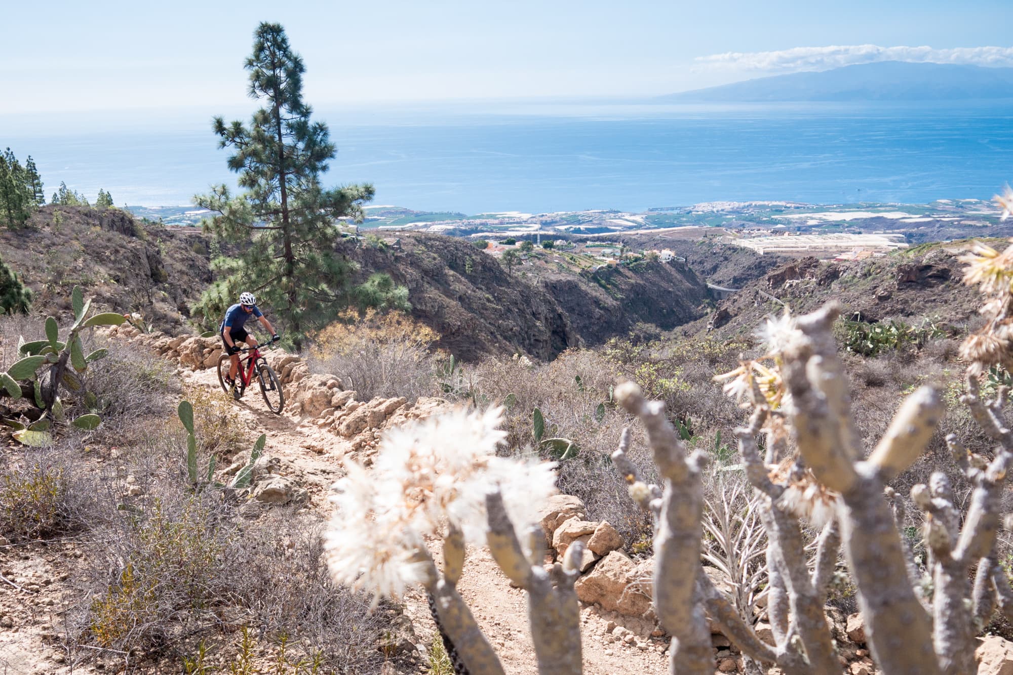 mountain biking