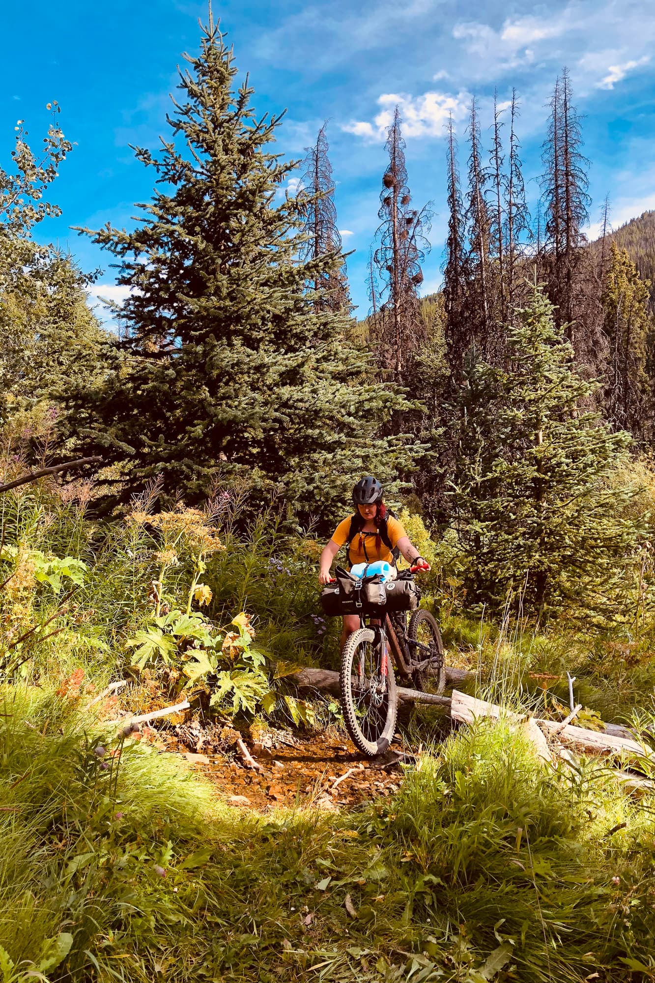 hike a bike