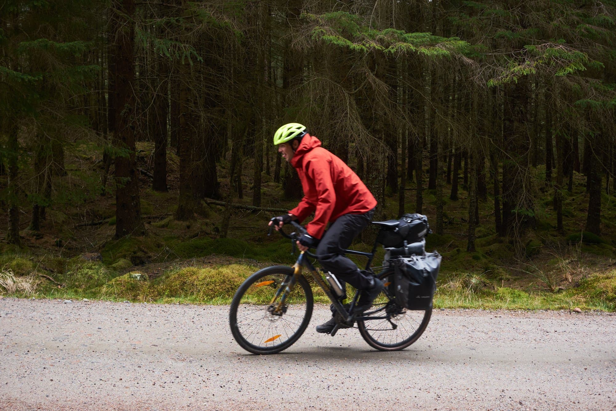 Livio on the rented Raleigh through a Scottish pine forest.