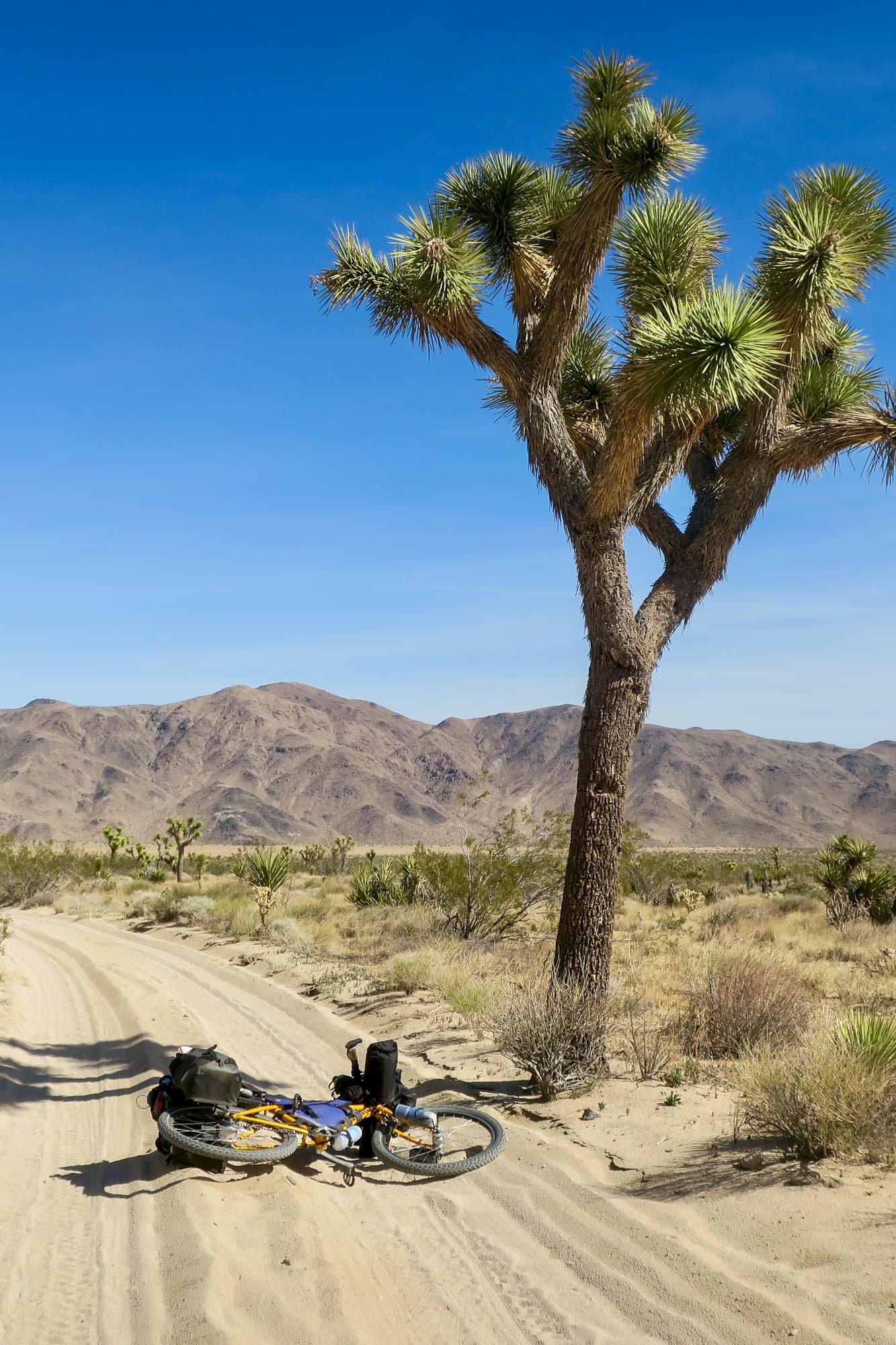 sandy bike ride