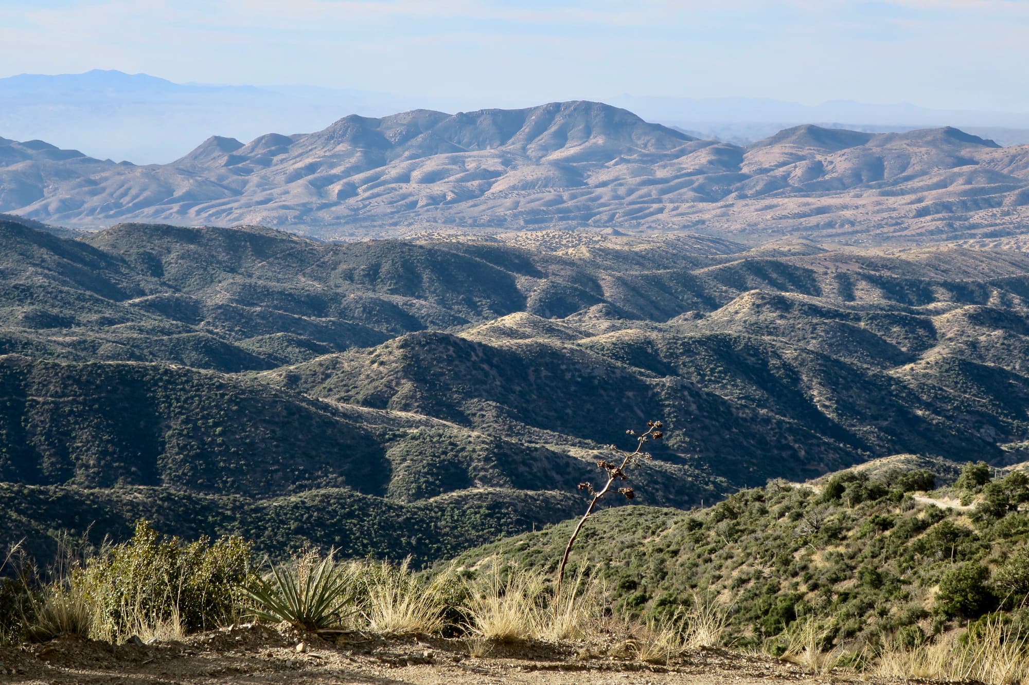scenery hills