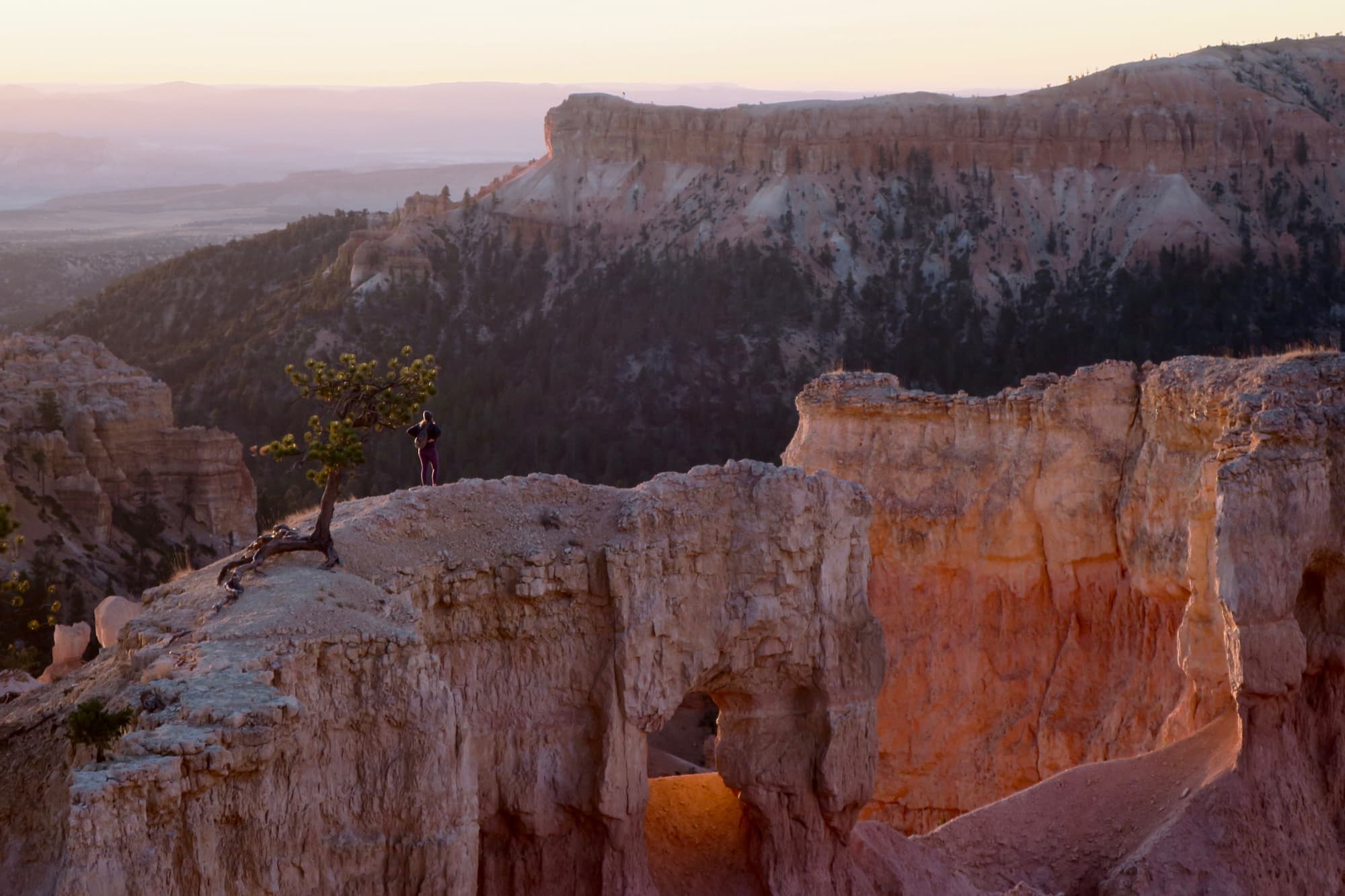 tara on canyon