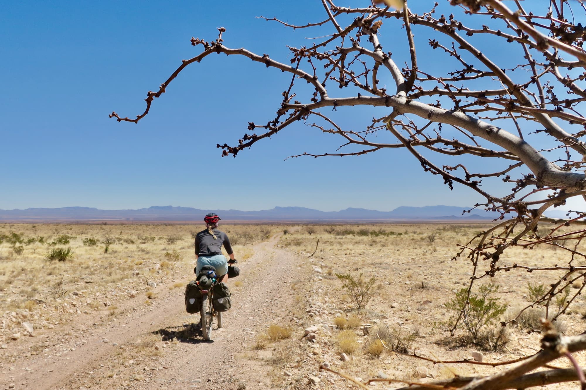 tara weir bikepacker