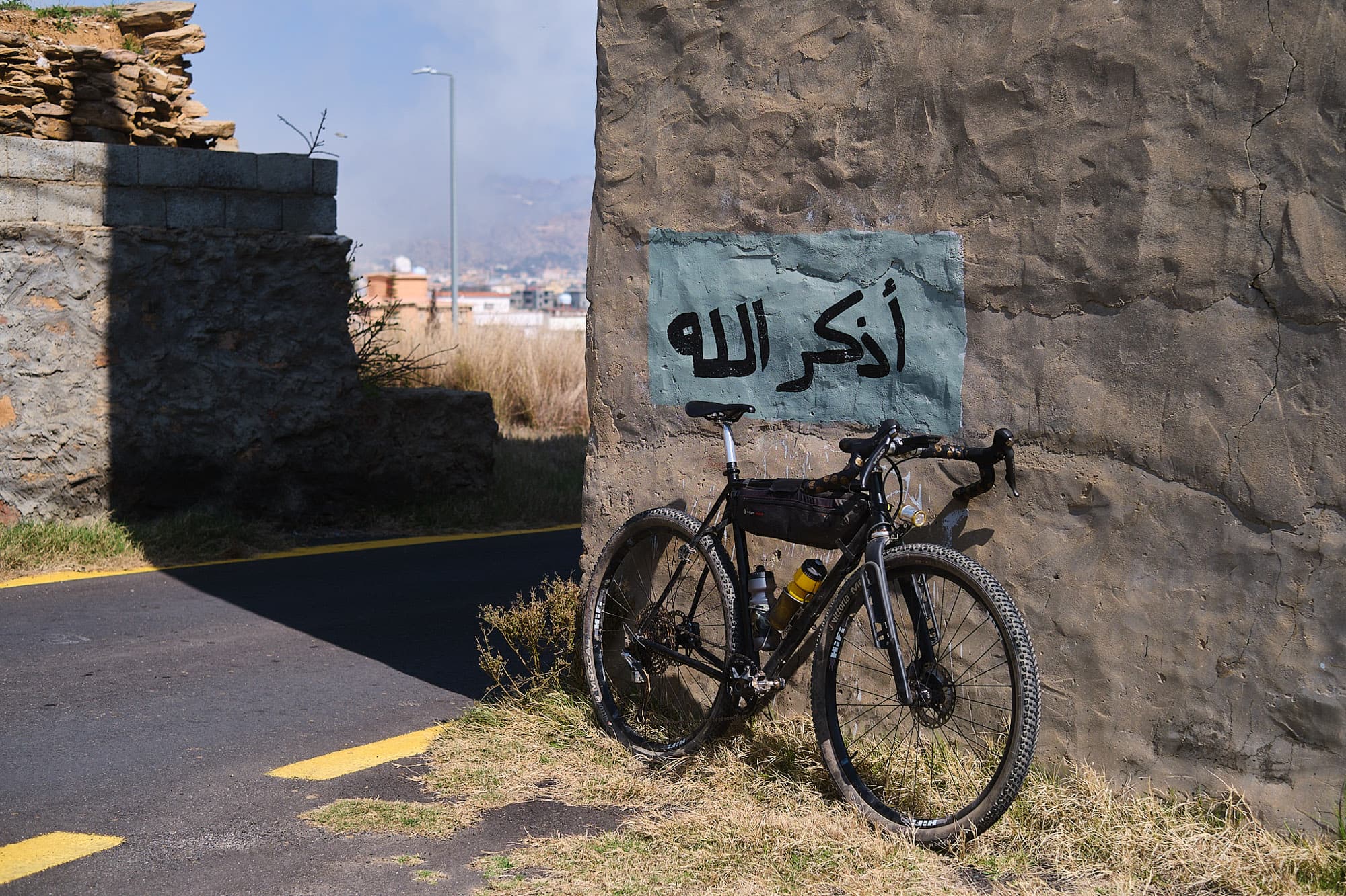 Abes bike on the TAMR.