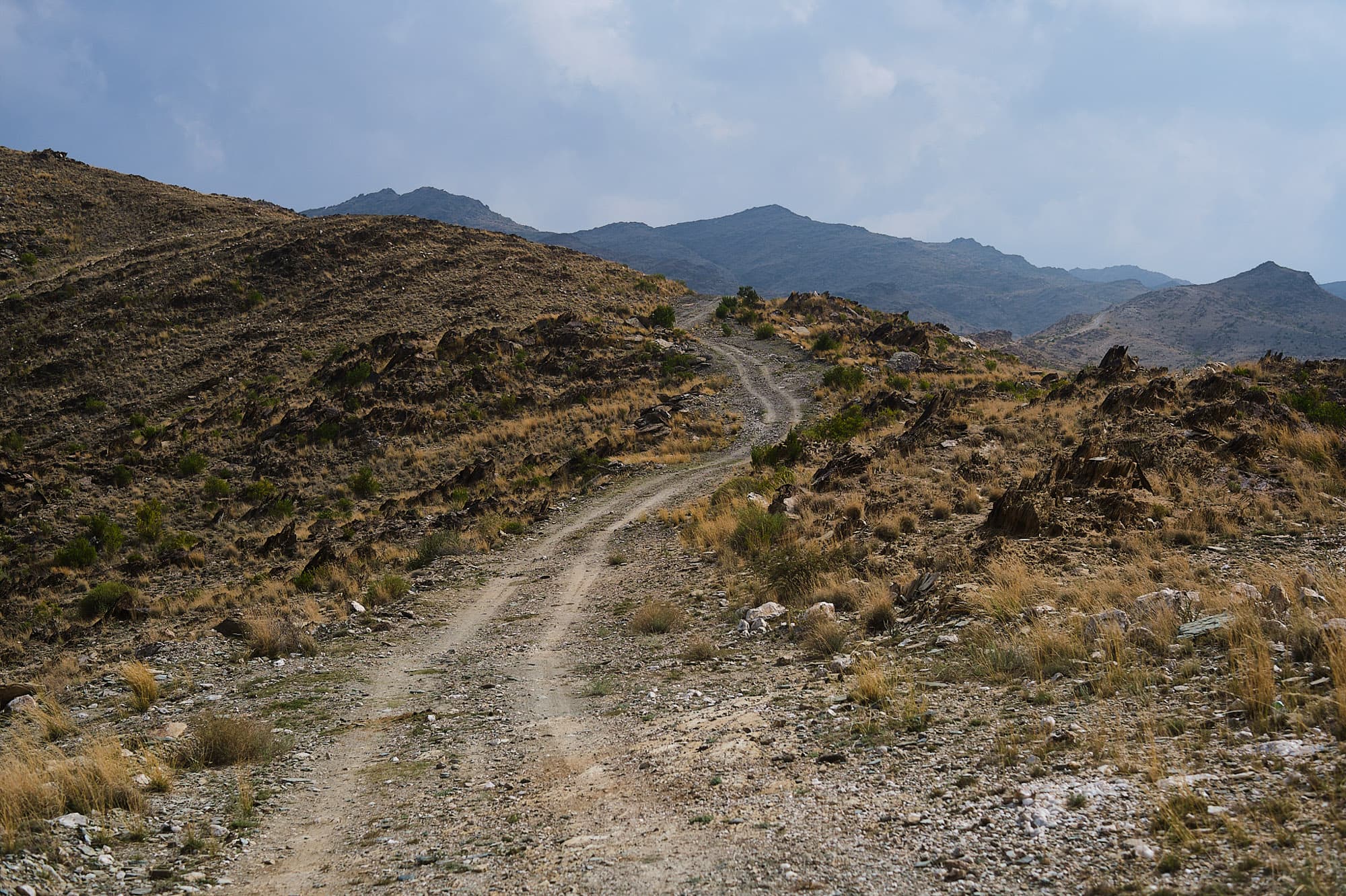 Climbing those hills on the TAMR.