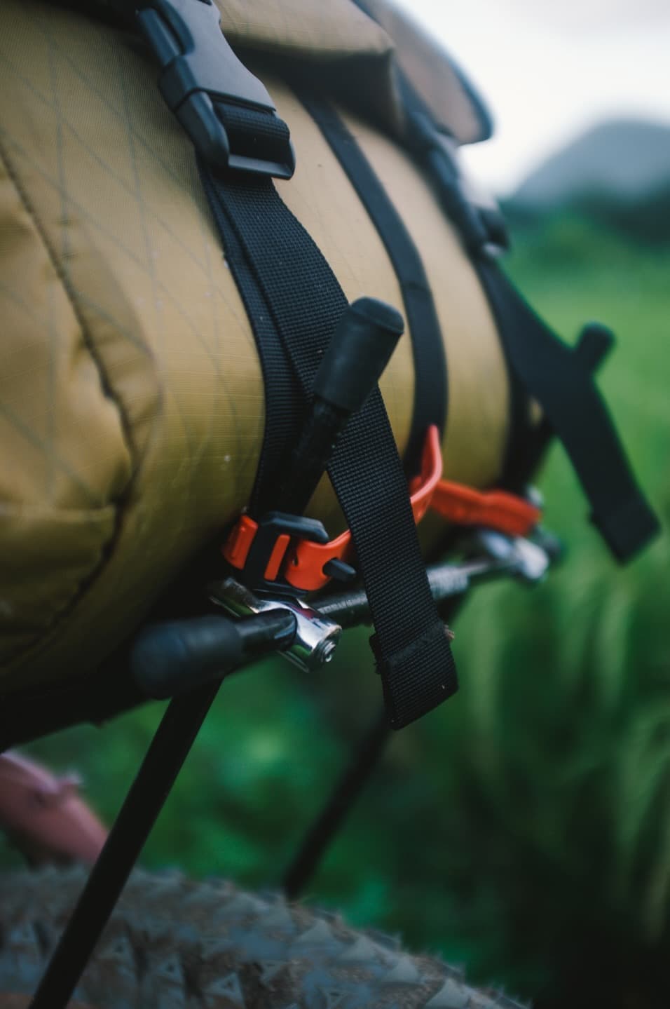 Close Up of Buffalo Bag