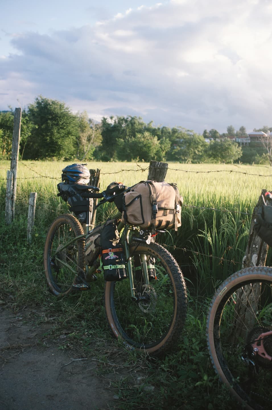 Bikepacking Near Rice Field