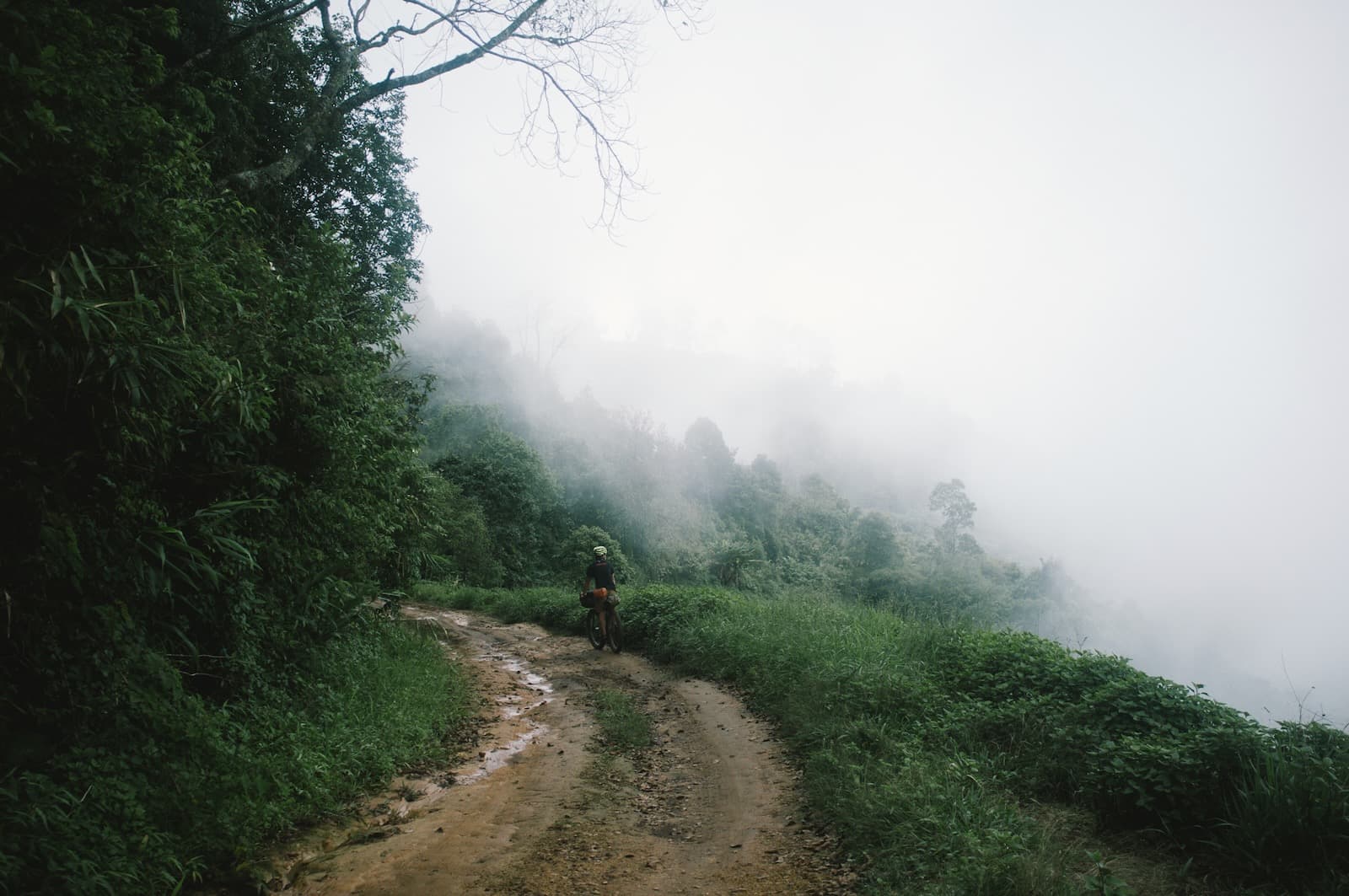 Biking in Fog on Thai Mountains