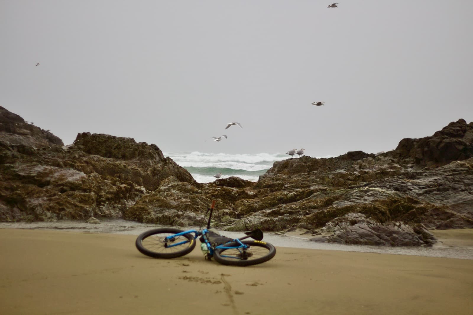 Cycling Tofino: The Pacific Rim National Park Pathway