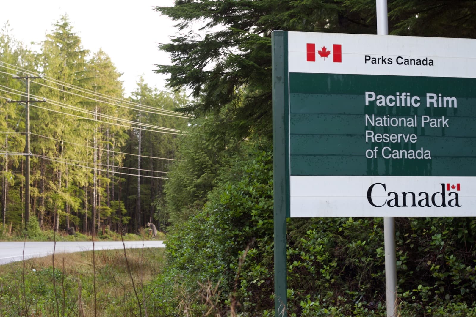 pacific rim sign