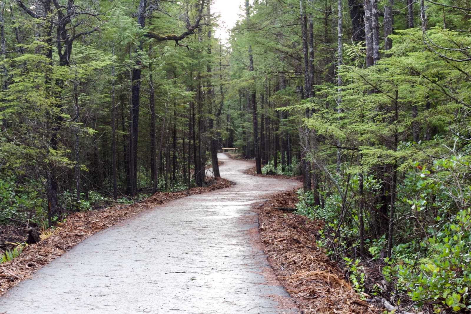 paved path
