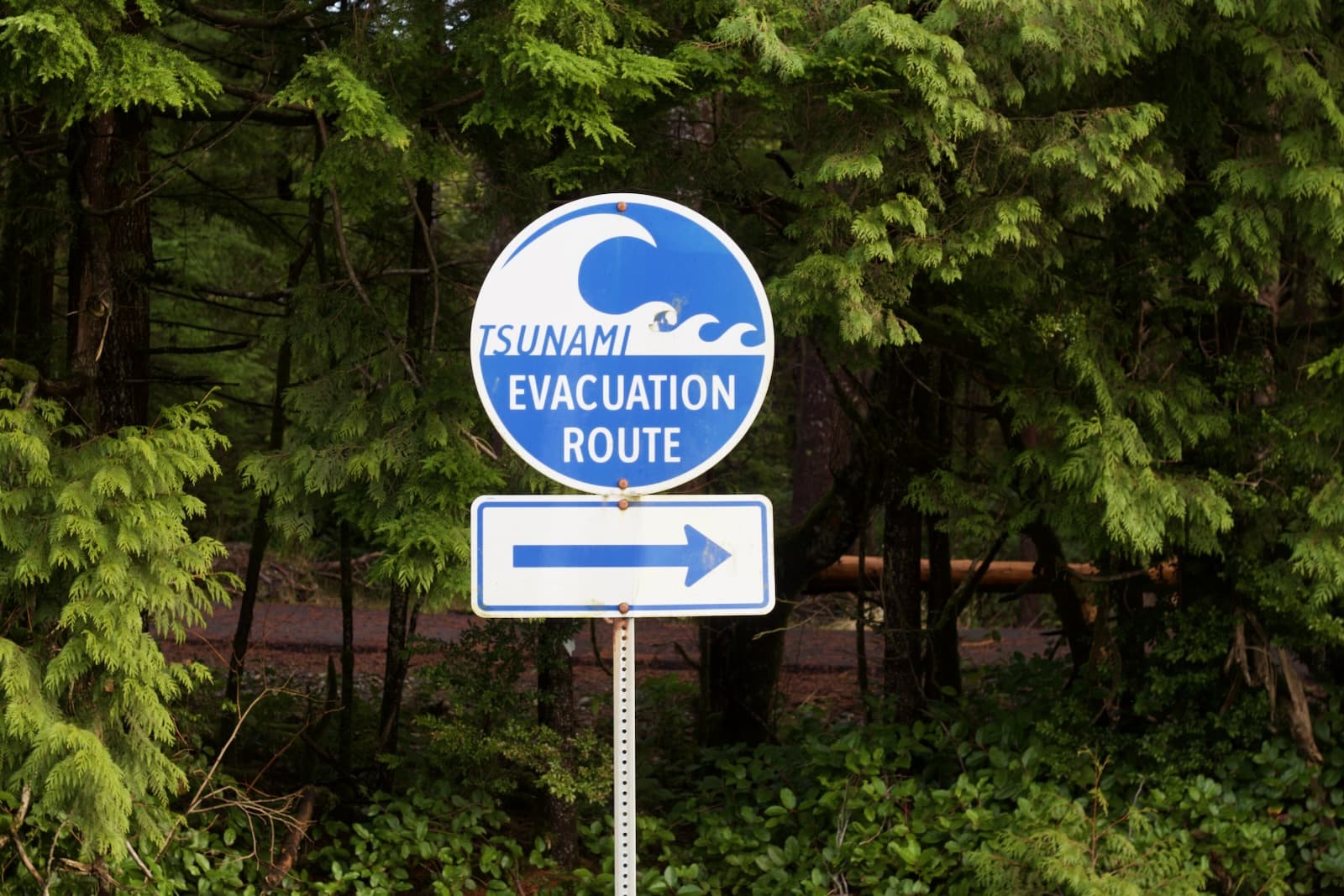 tsunami sign