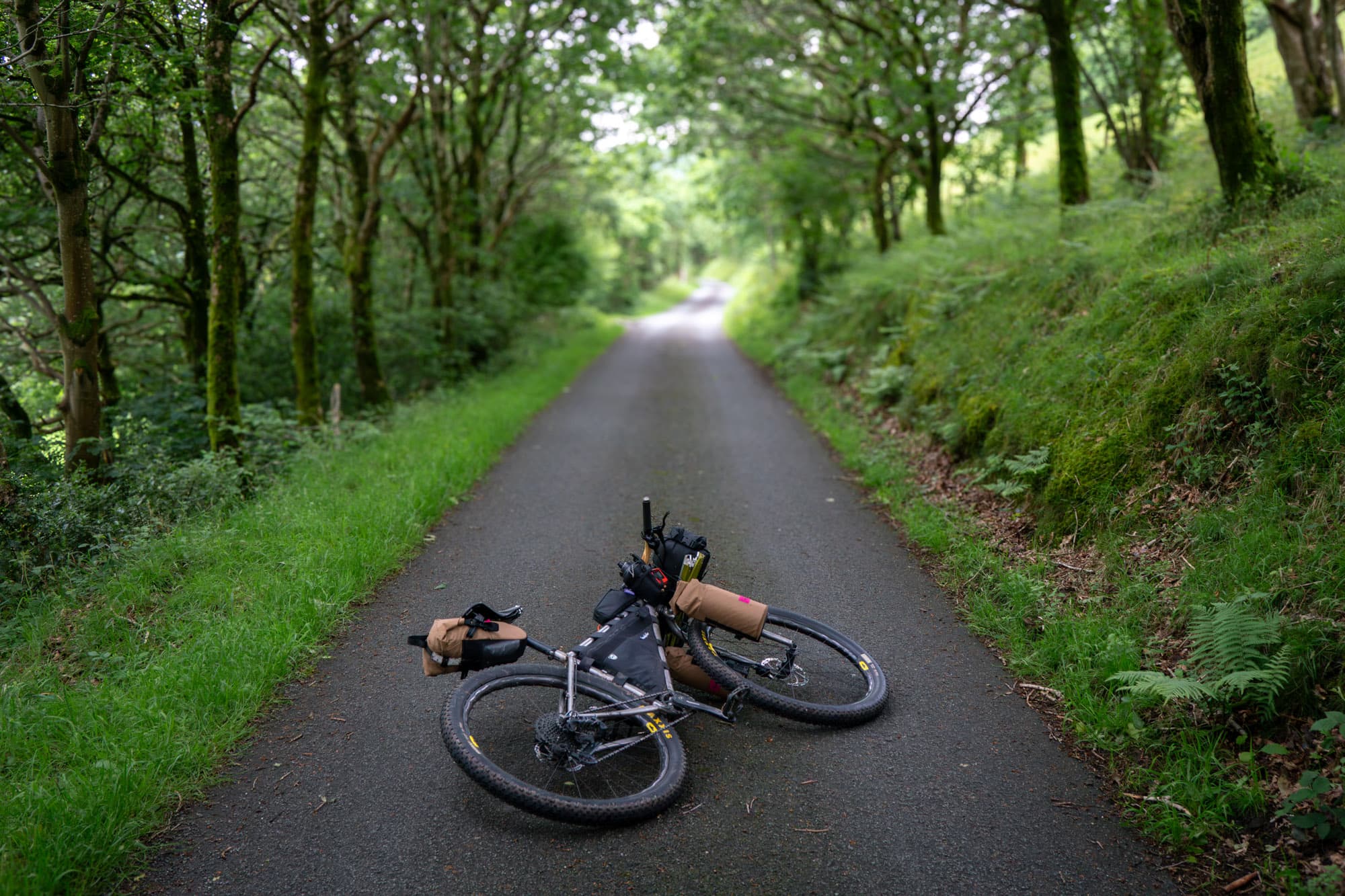 The Traws Eryri: An Unexpected Journey