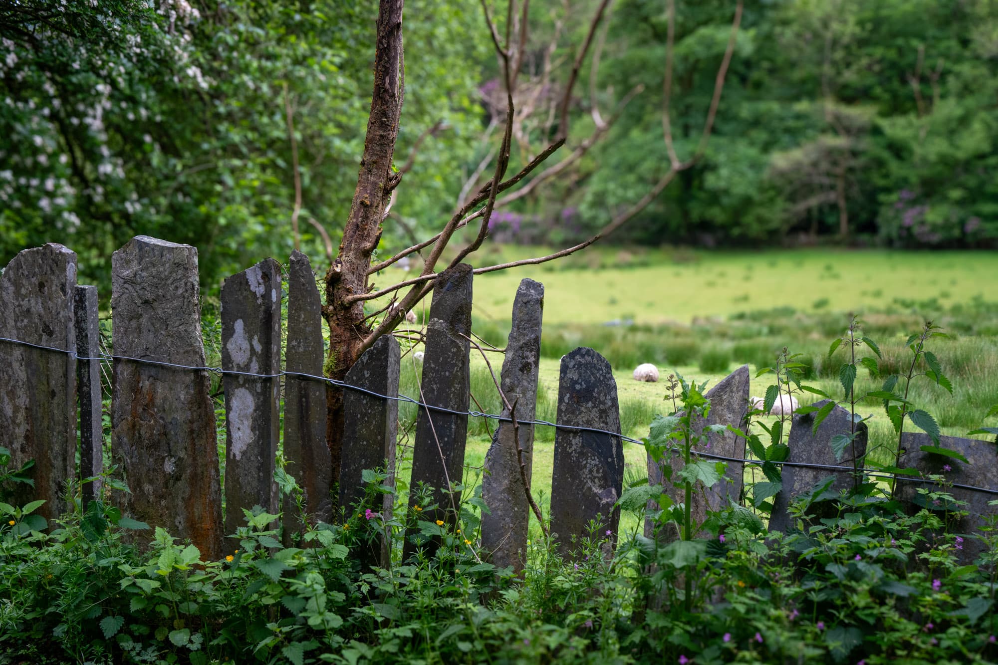 A old stone fence.